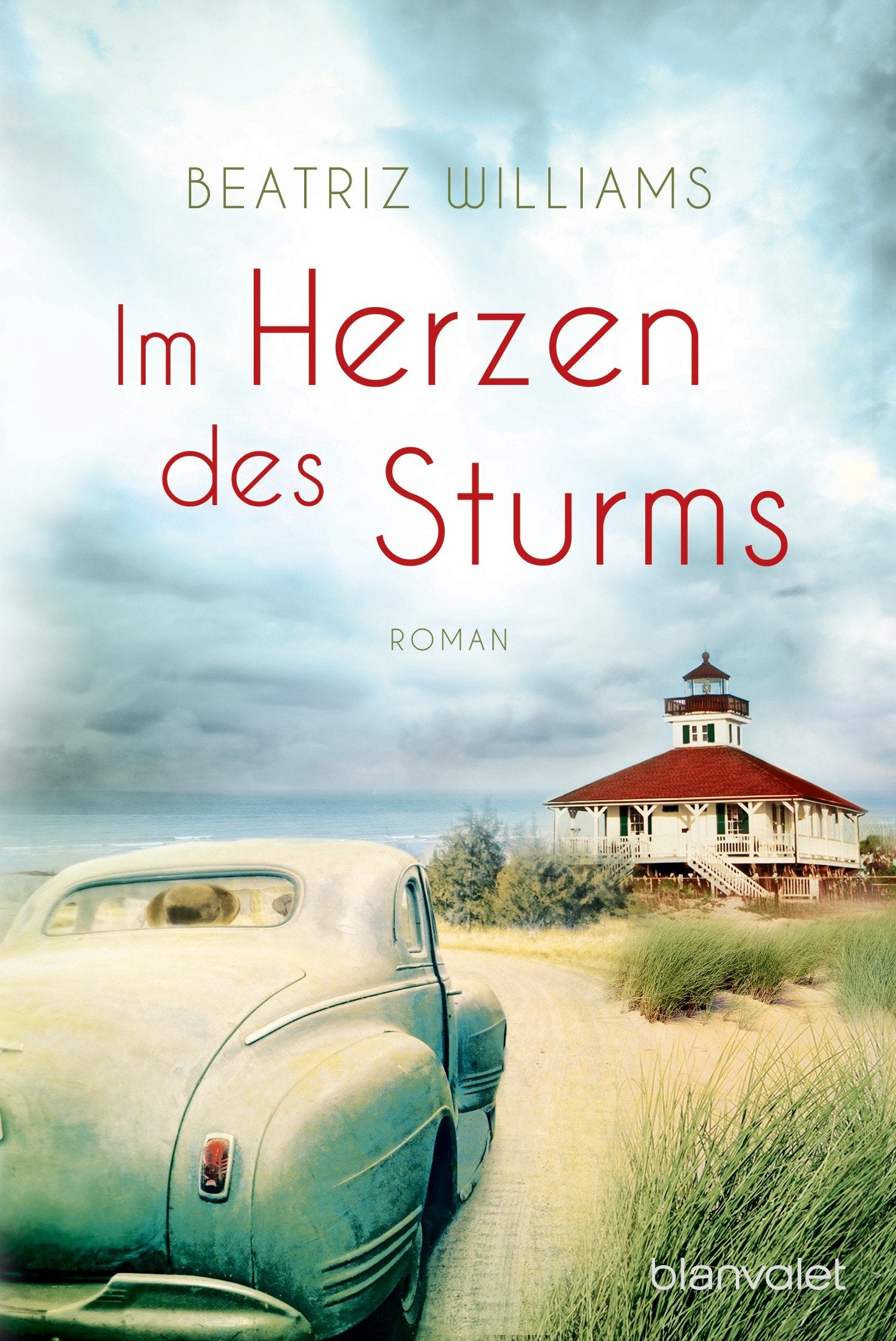 Im Herzen des Sturms Contemporary literature Books