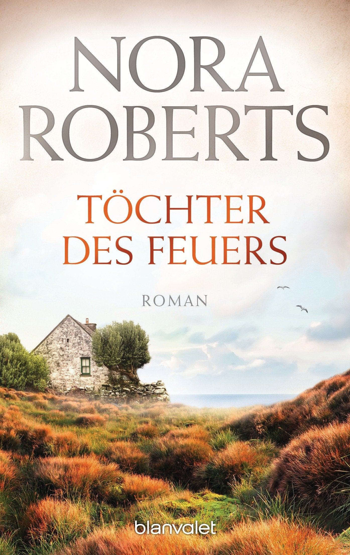 Töchter des Feuers Contemporary literature Books