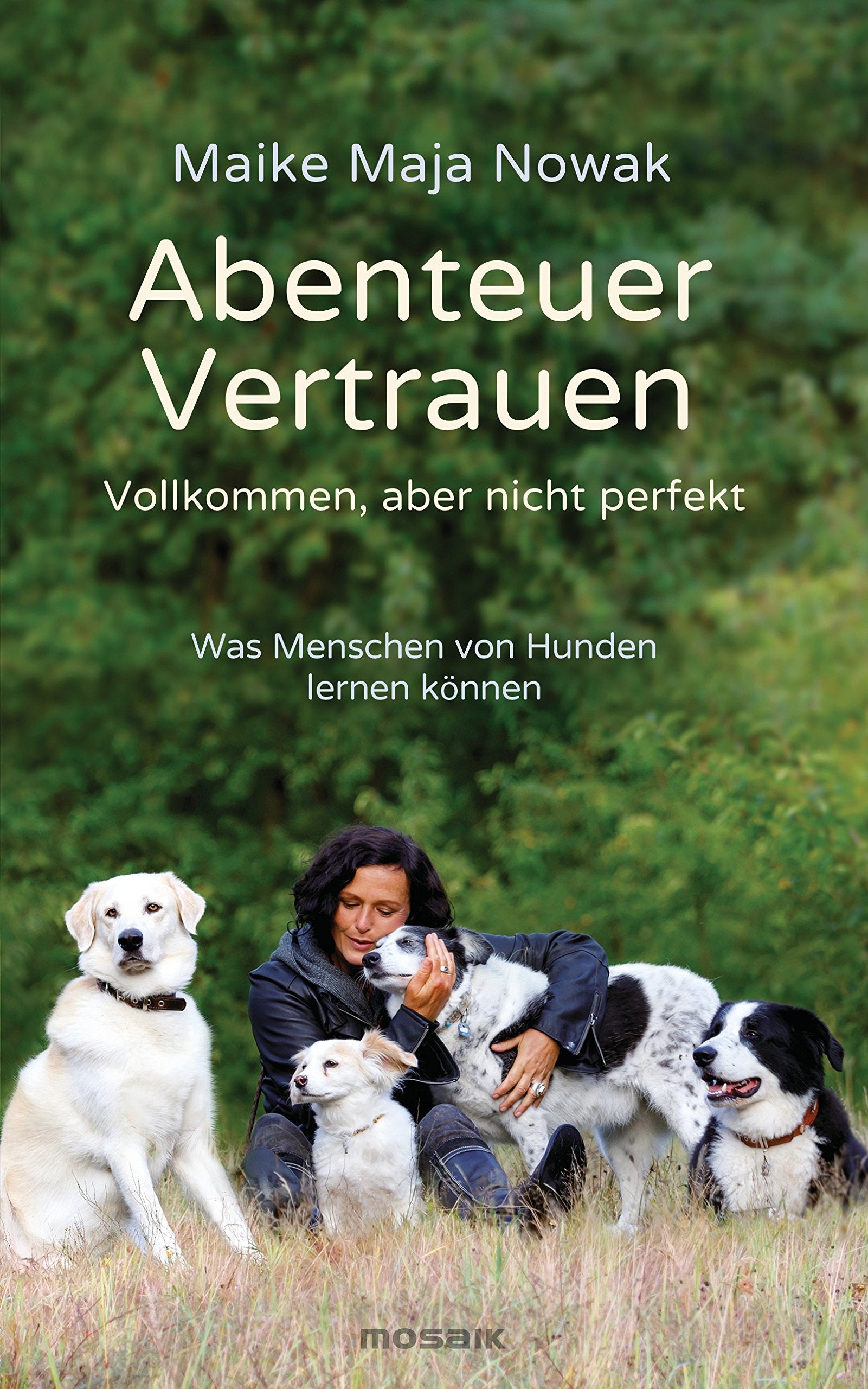 Abenteuer Vertrauen Medicine