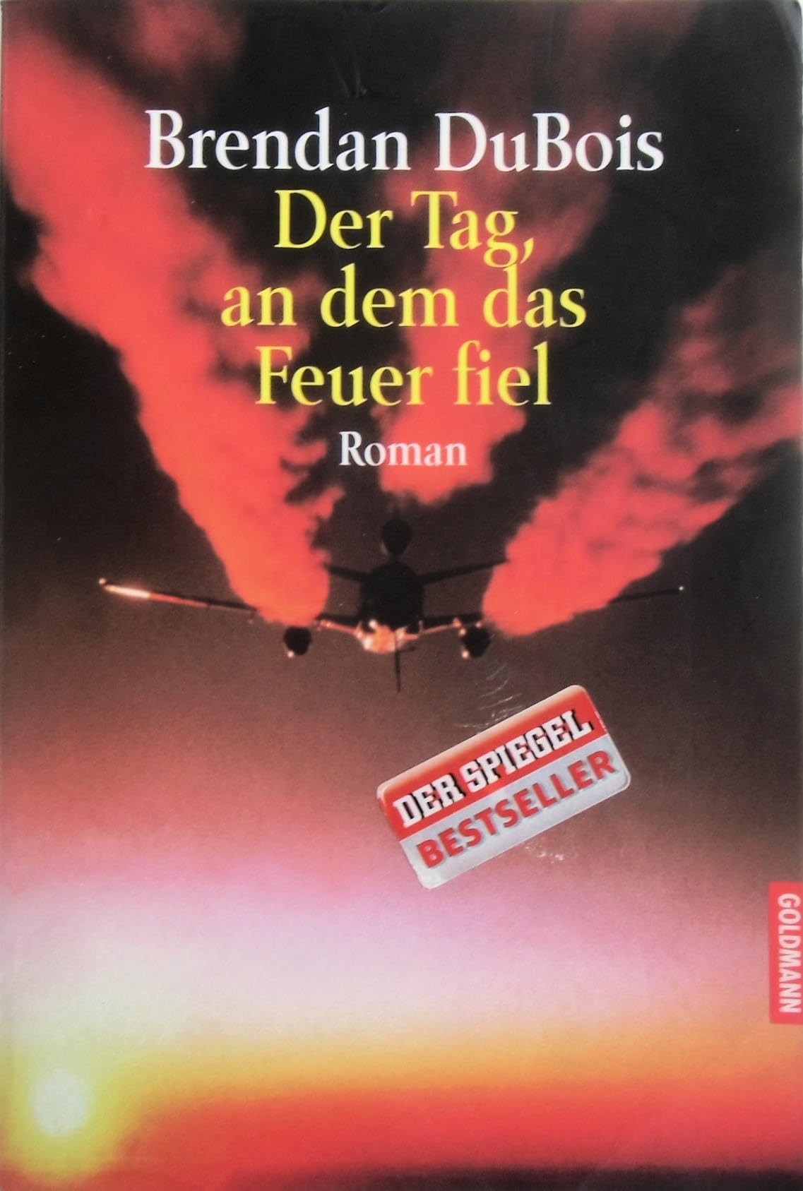 Der Tag, an dem das Feuer fiel Books