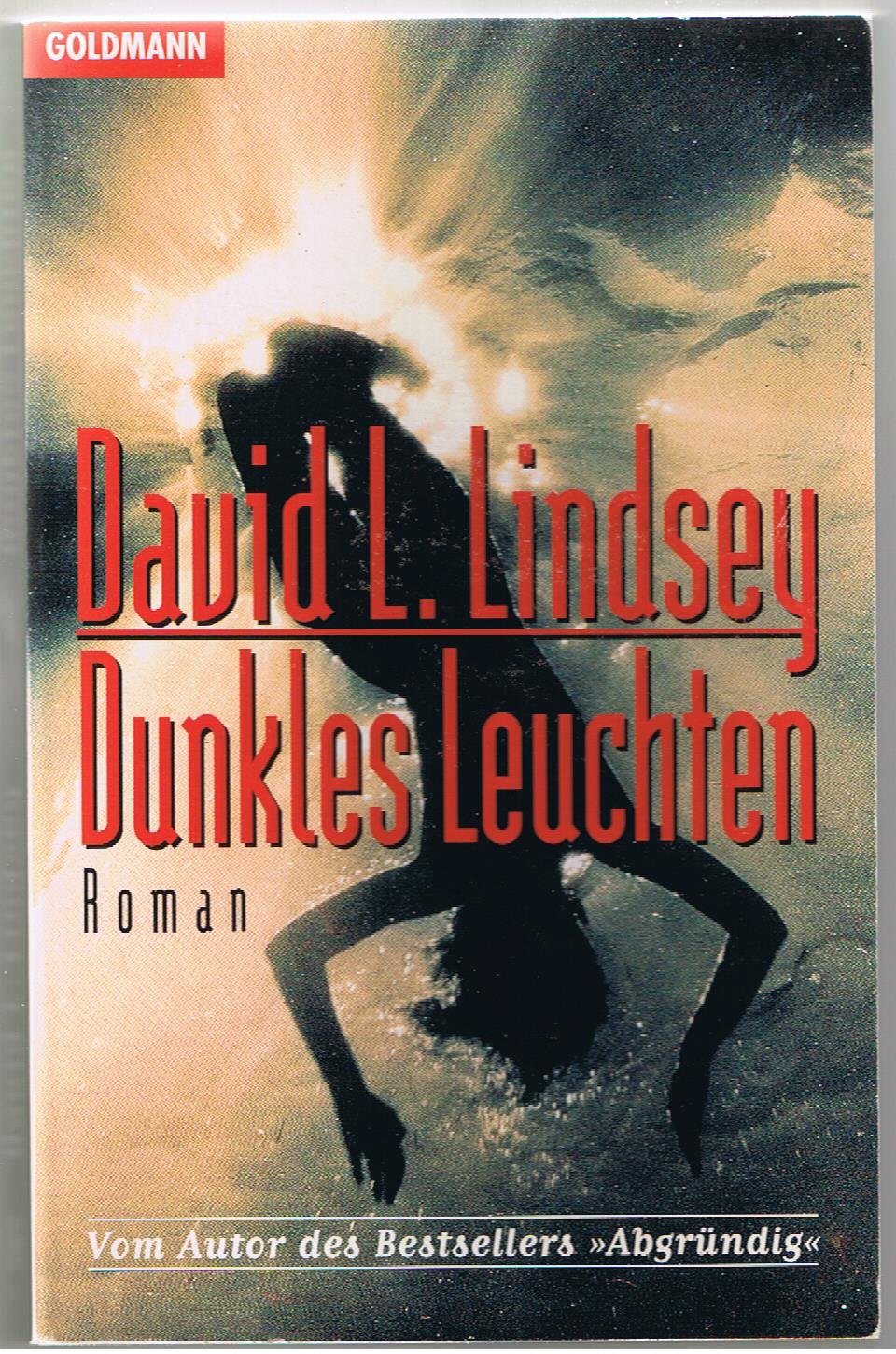 Dunkles Leuchten (Goldmann Allgemeine Reihe) Crime & Thrillers