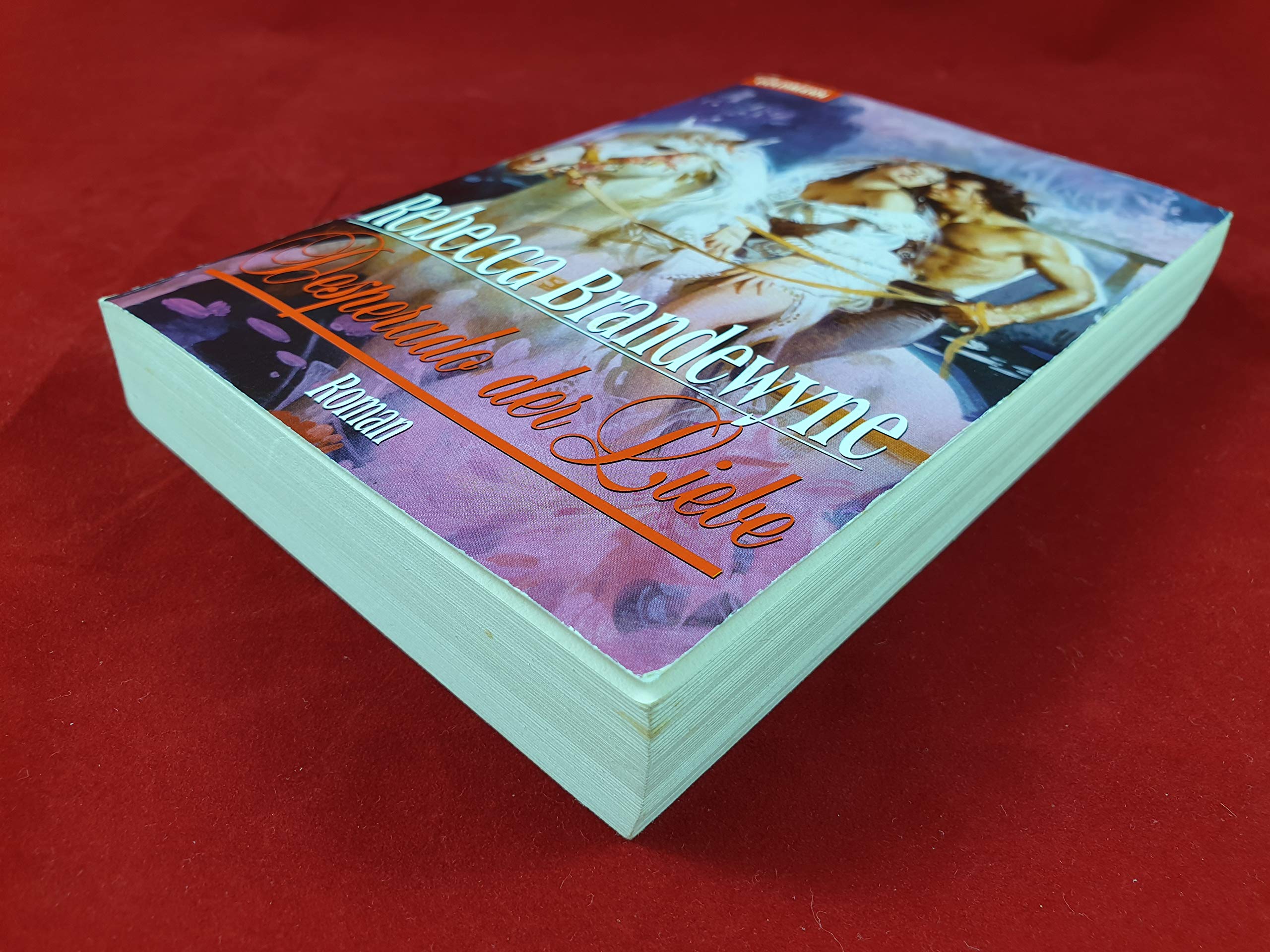 Desperado der Liebe: Roman (Goldmann Allgemeine Reihe) Contemporary literature