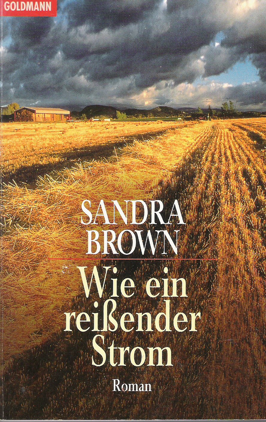 Wie ein reißender Strom: Roman (Goldmann Allgemeine Reihe) Action & Adventure