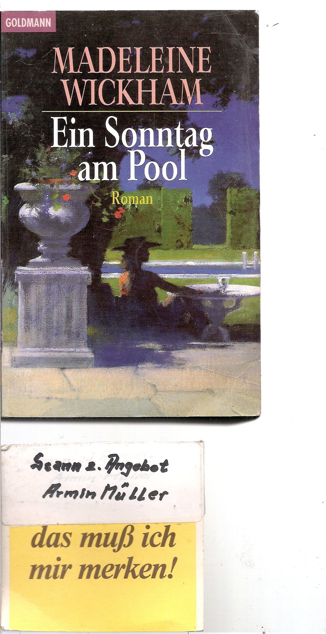 Ein Sonntag am Pool (Goldmann Allgemeine Reihe) Books