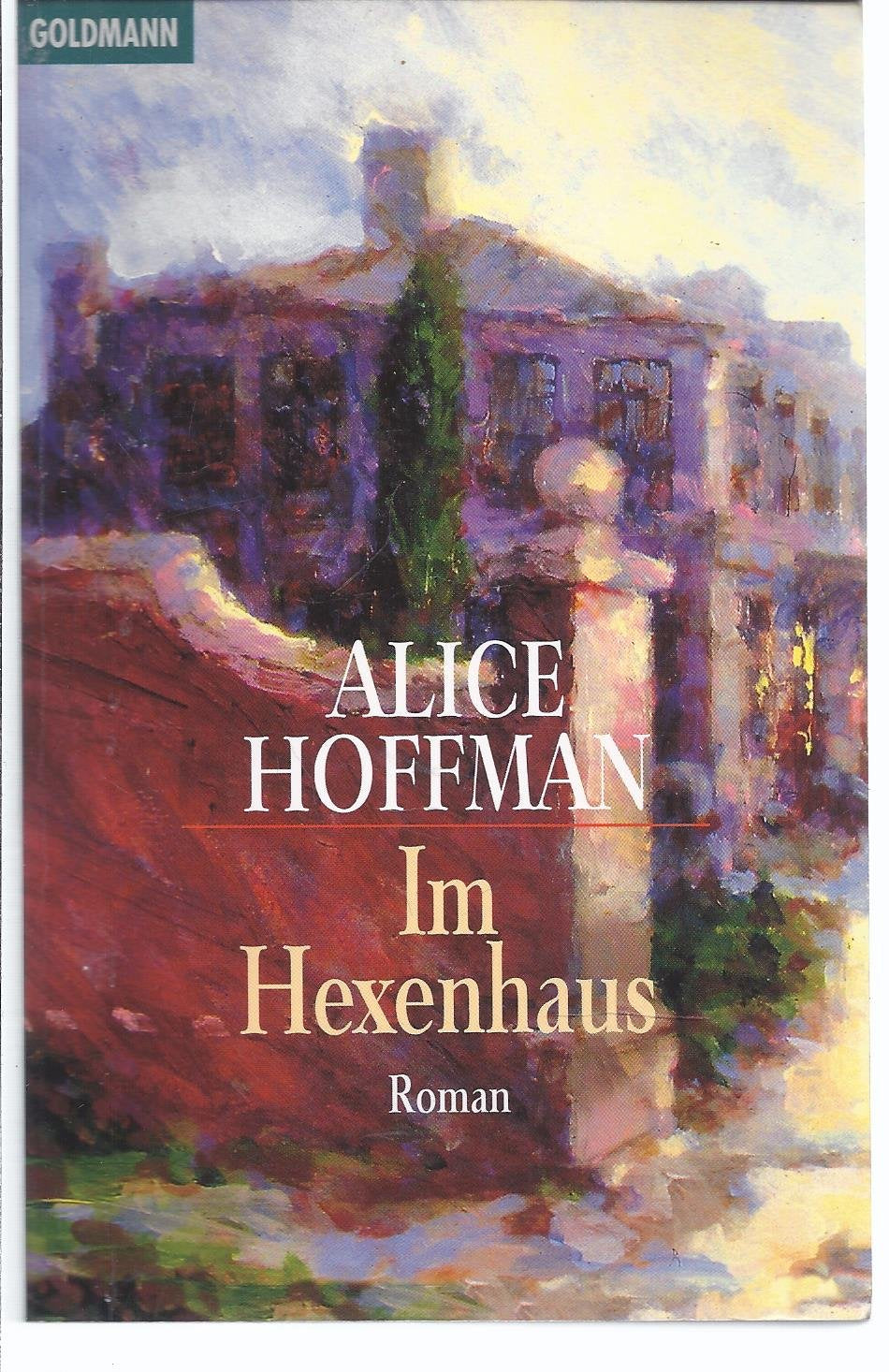 Im Hexenhaus (Goldmann Allgemeine Reihe) Classics