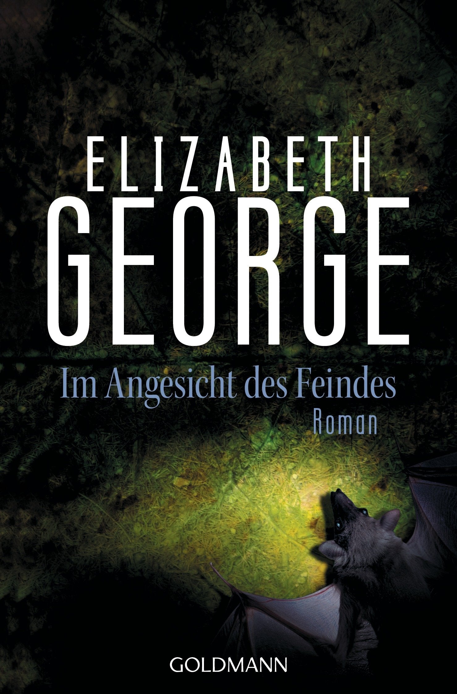 Im Angesicht des Feindes: Ein Inspector-Lynley-Roman 8 Contemporary literature