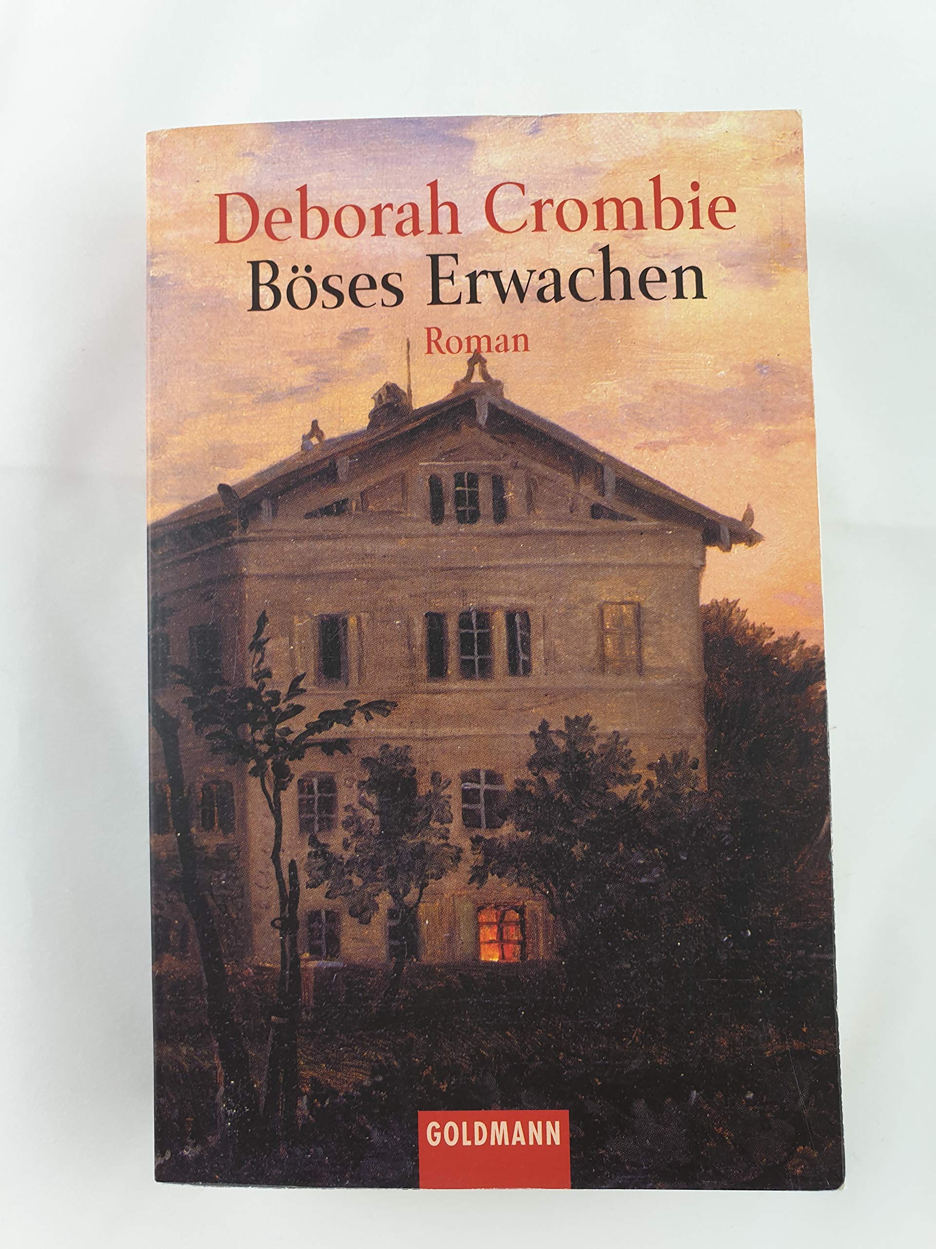 Böses Erwachen: Roman: Roman. Aus d. Engl. v. Christine Frauendorf-Mössel Action & Adventure