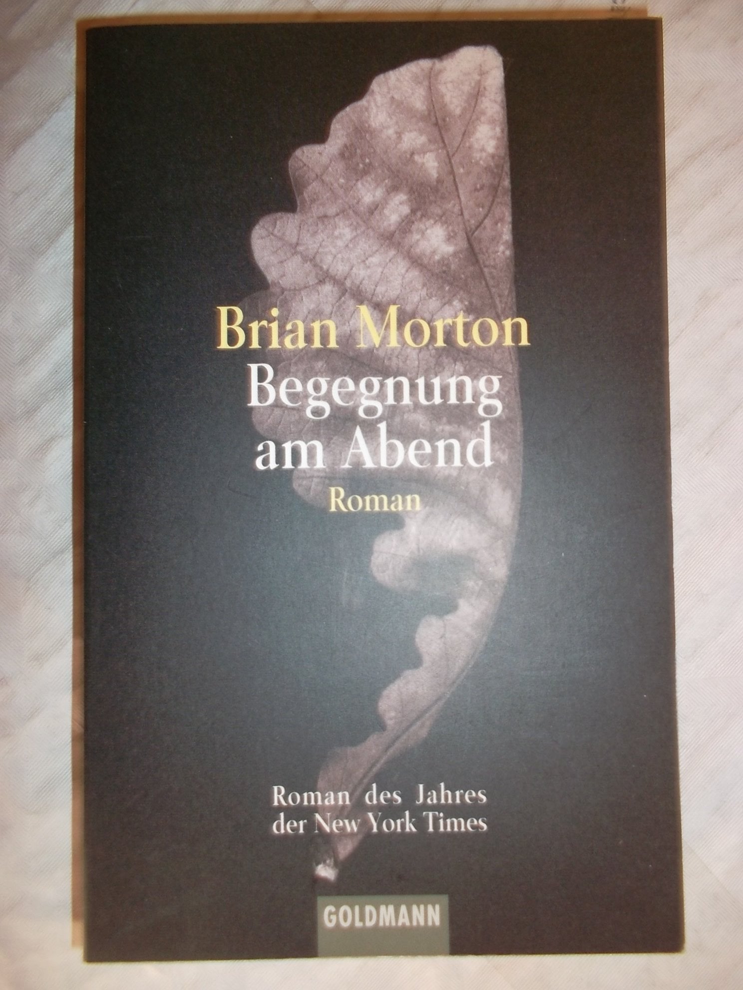Begegnung am Abend: Roman. Aus d. Amerikan. v. Peter Renner Books