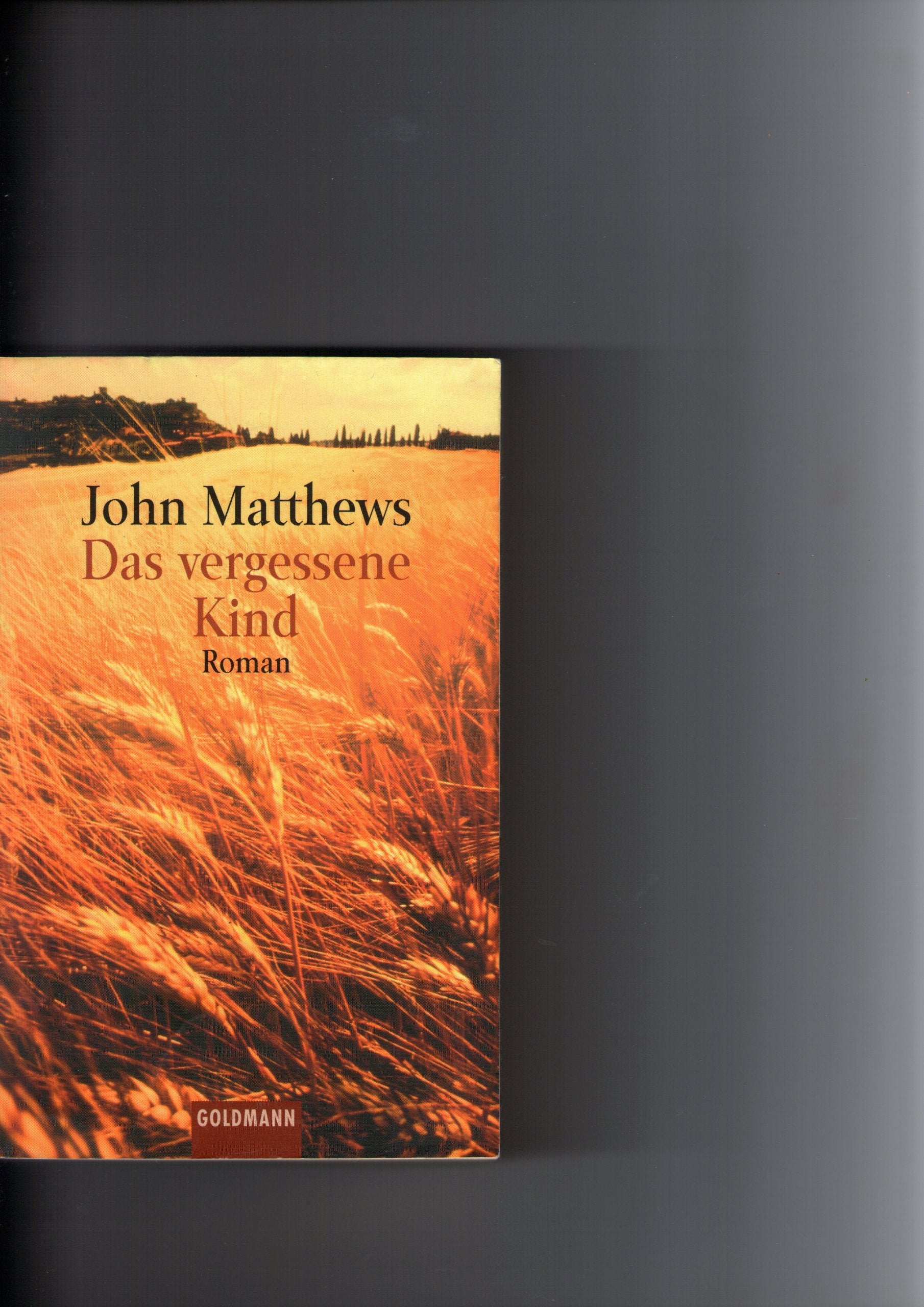 Das vergessene Kind Crime & Thrillers