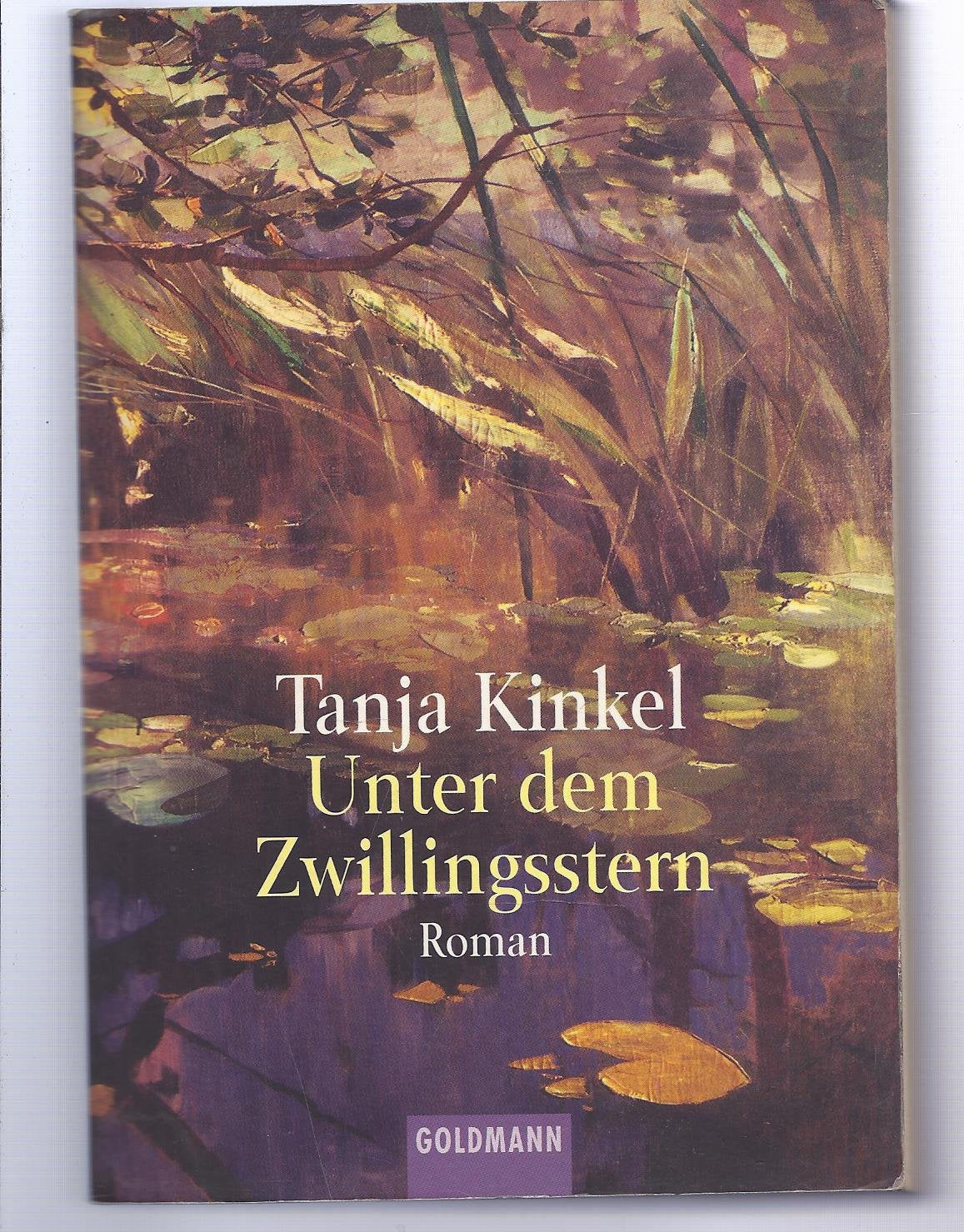Unter dem Zwillingsstern (Goldmann Allgemeine Reihe) Historical Fiction
