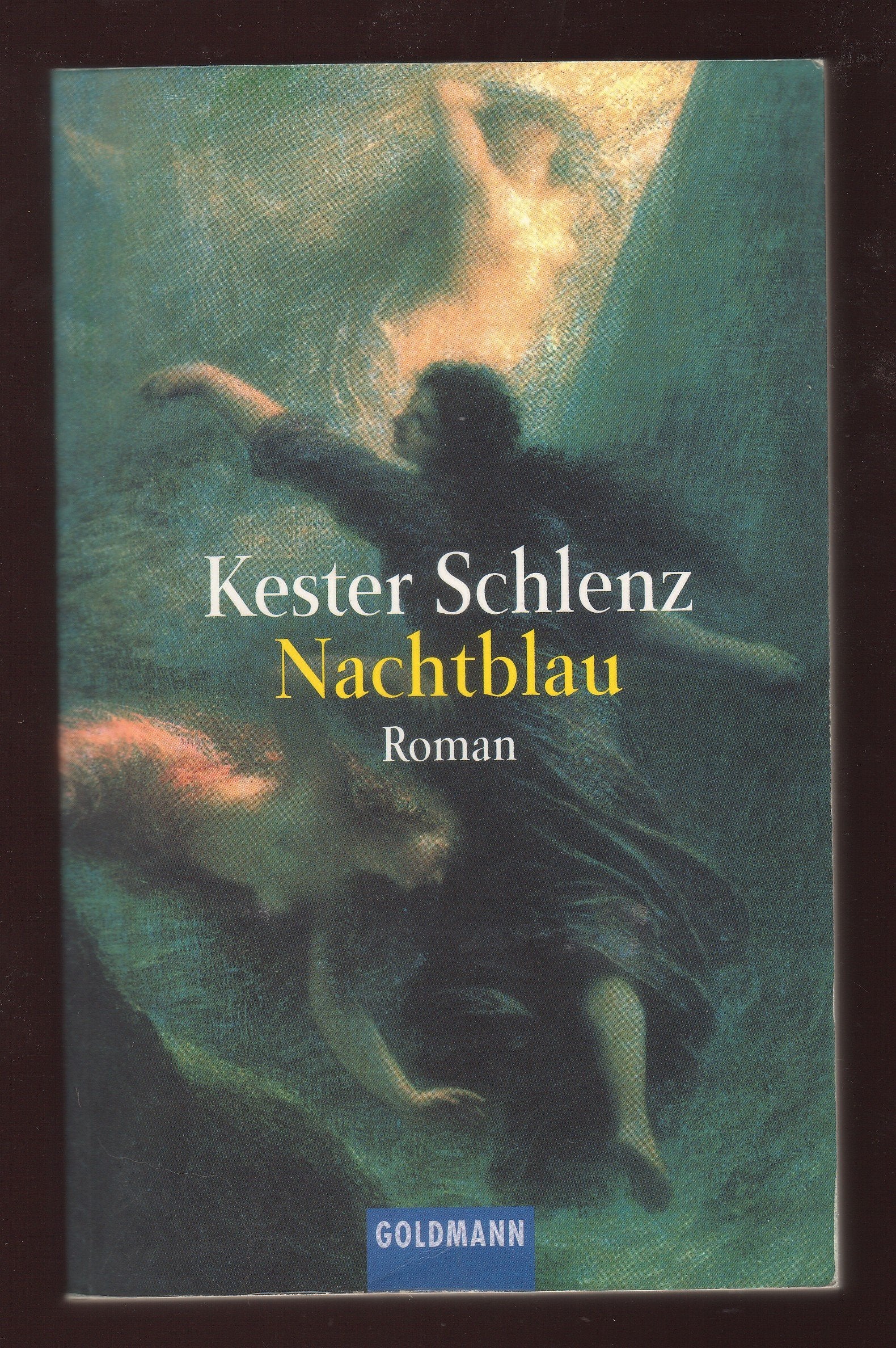 Nachtblau Crime & Thrillers