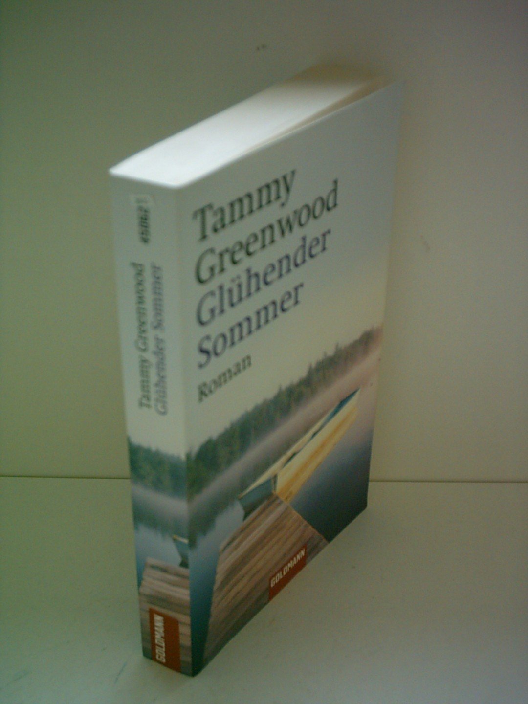 Glühender Sommer: Roman. Deutsche Erstausgabe Books