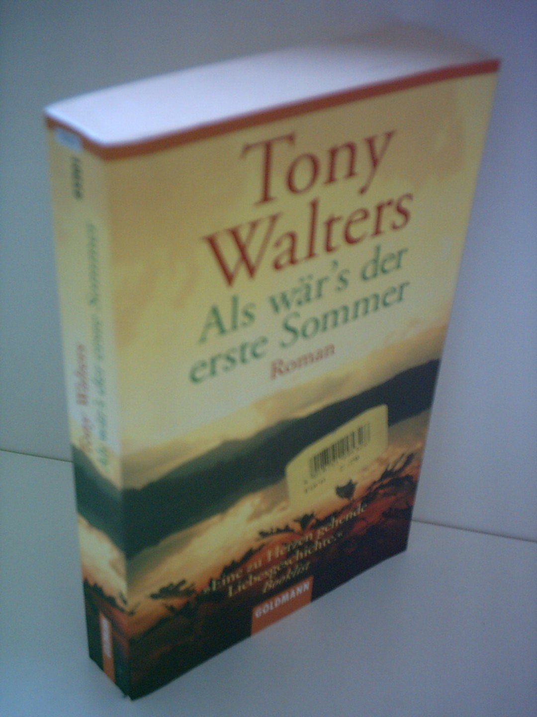 Als wär's; der erste Sommer: Roman Books