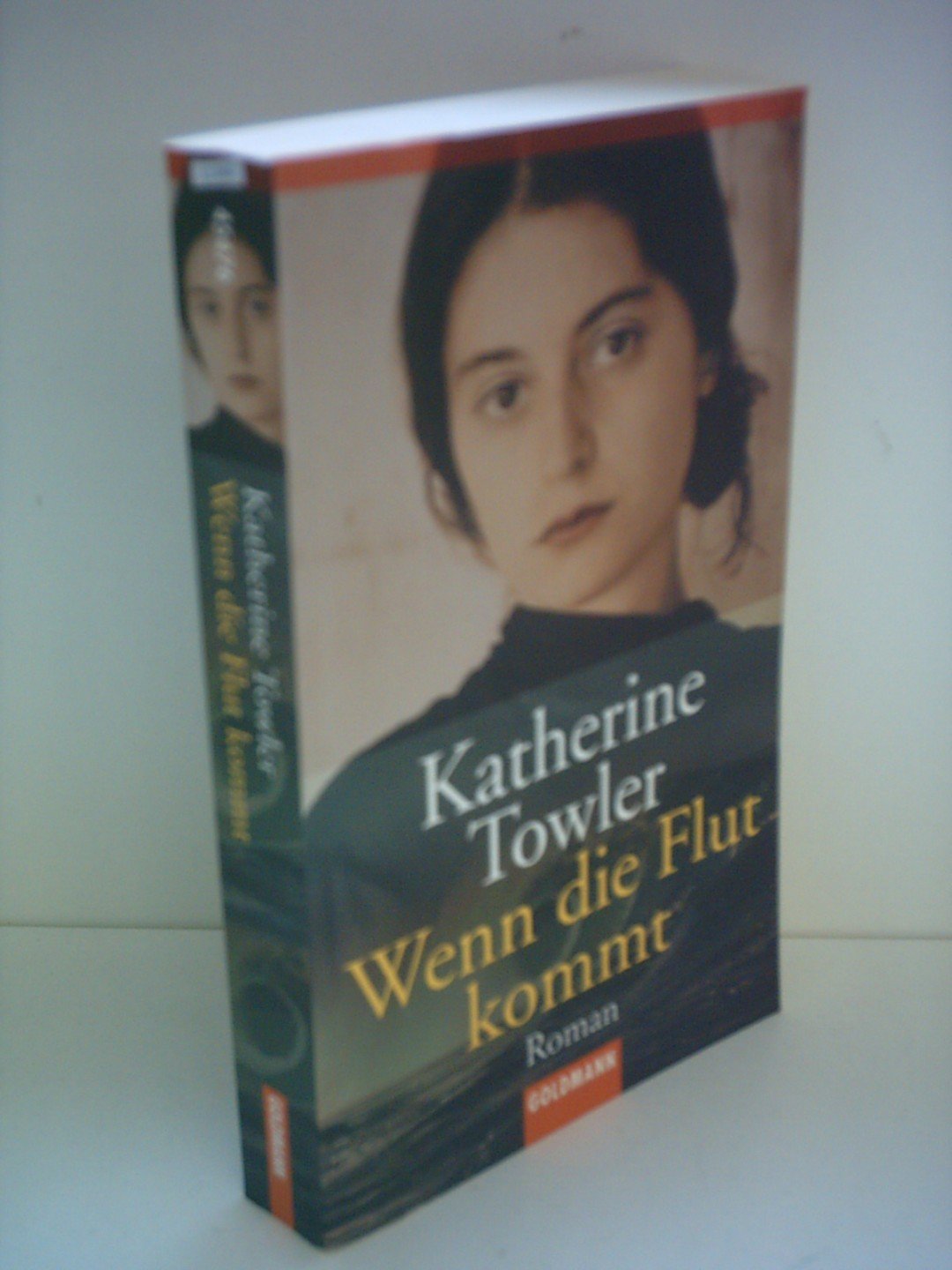 Wenn die Flut kommt: Roman Books