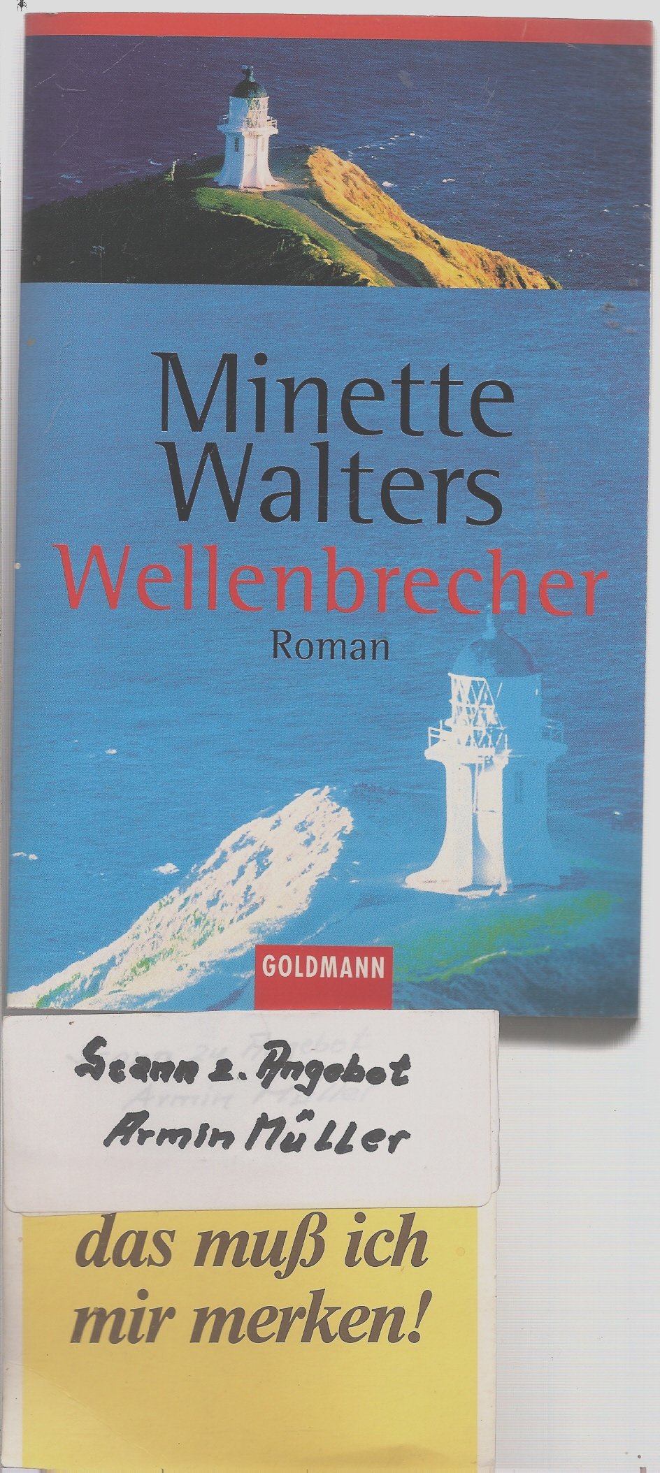Wellenbrecher: Pack die Taschenbücher ein (Goldmann Aktionen) Action & Adventure