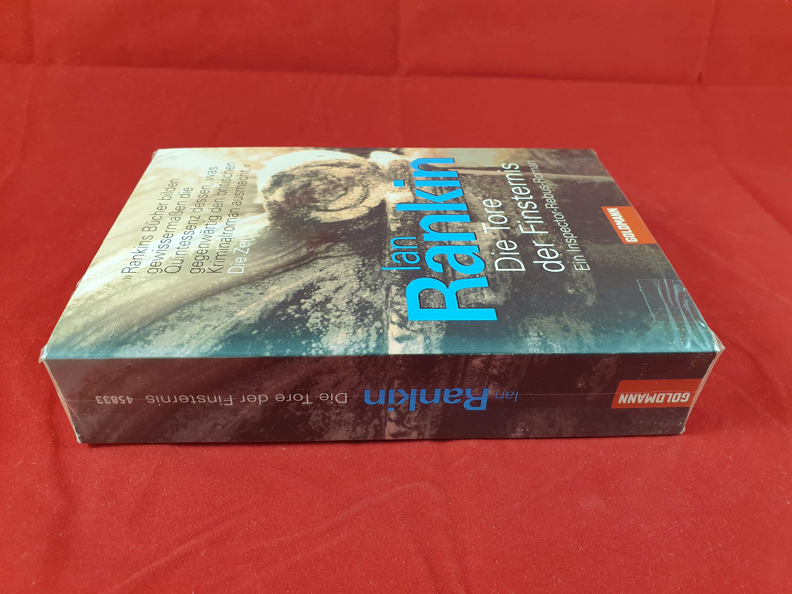 Die Tore der Finsternis: der 13. Fall für Inspector Rebus (DIE INSPEKTOR REBUS-ROMANE, Band 13) Contemporary literature