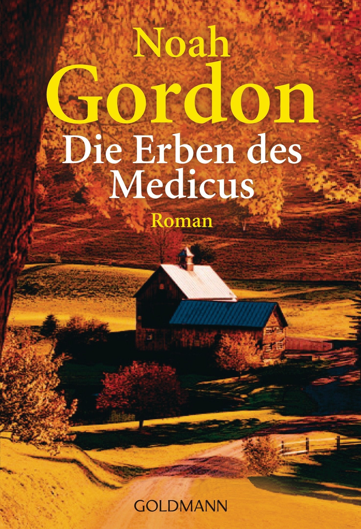 Die Erben des Medicus: Roman (Die Medicus-Reihe, Band 3) Contemporary literature