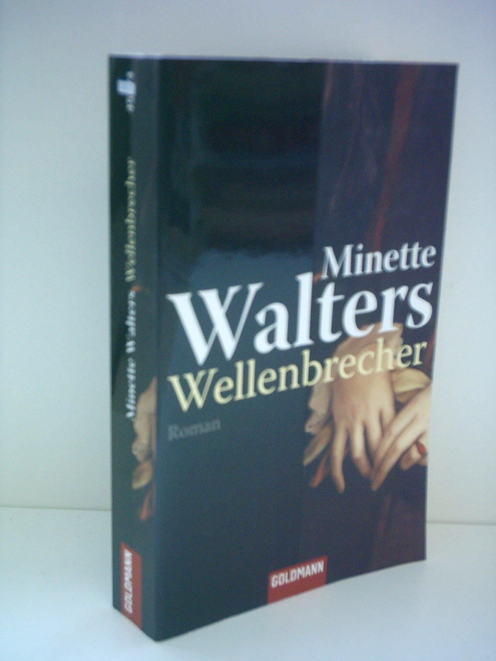 Wellenbrecher: Roman (Taschenbuch Aktionstitel) Action & Adventure