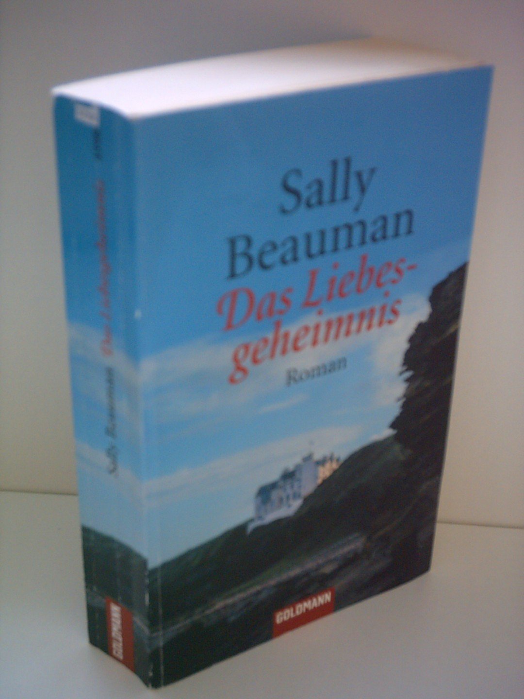 Das Liebesgeheimnis: Roman Books
