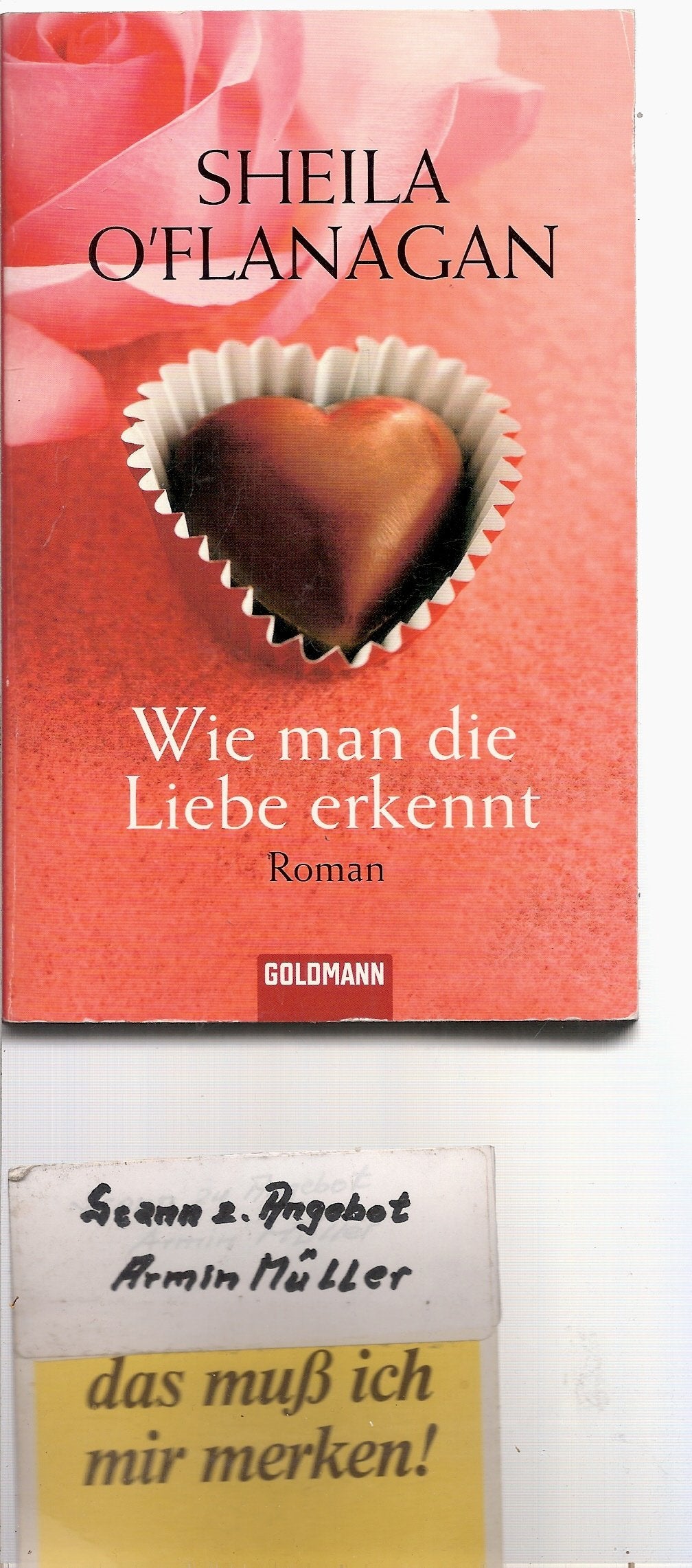Wie man die Liebe erkennt: Roman Books