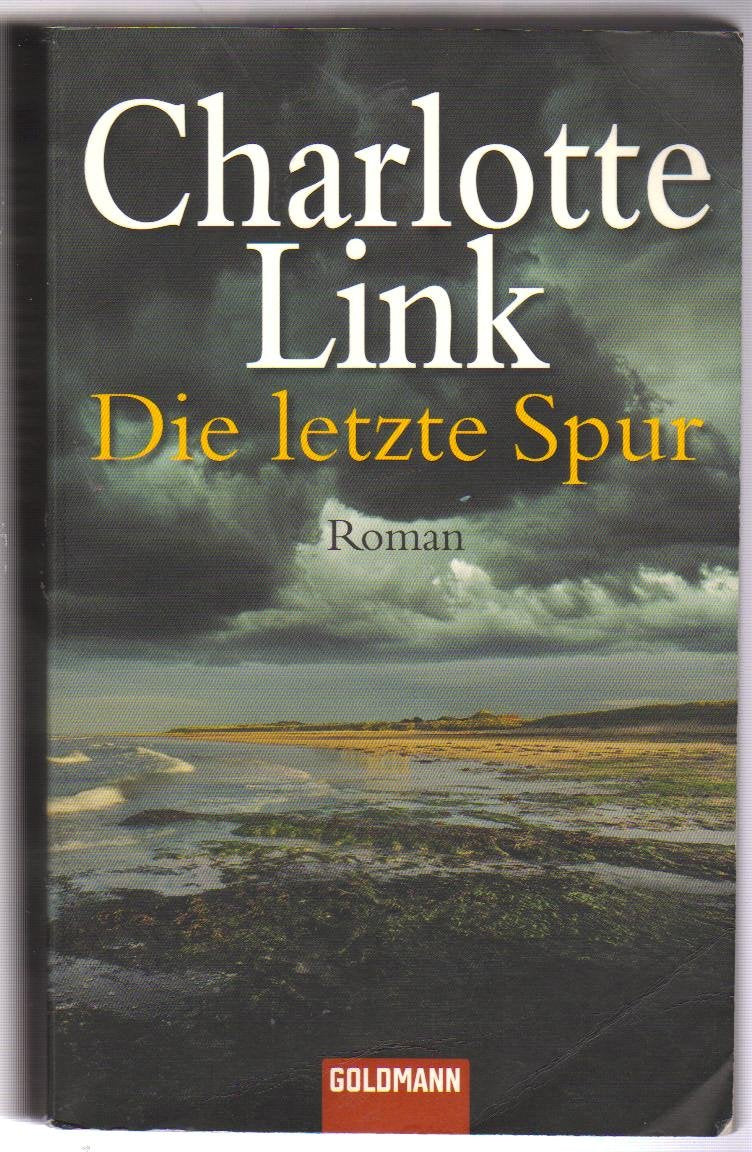 Die letzte Spur: Roman. Originalausgabe Action & Adventure