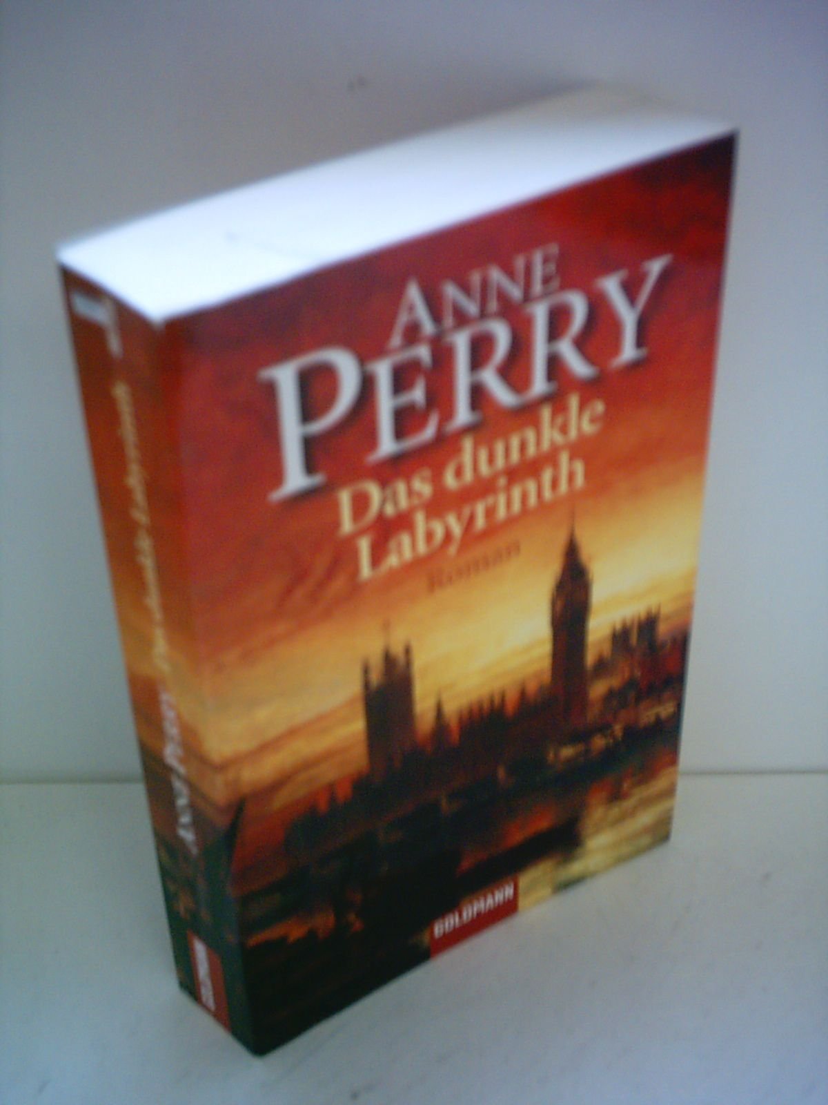 Das dunkle Labyrinth: Roman Crime & Thrillers