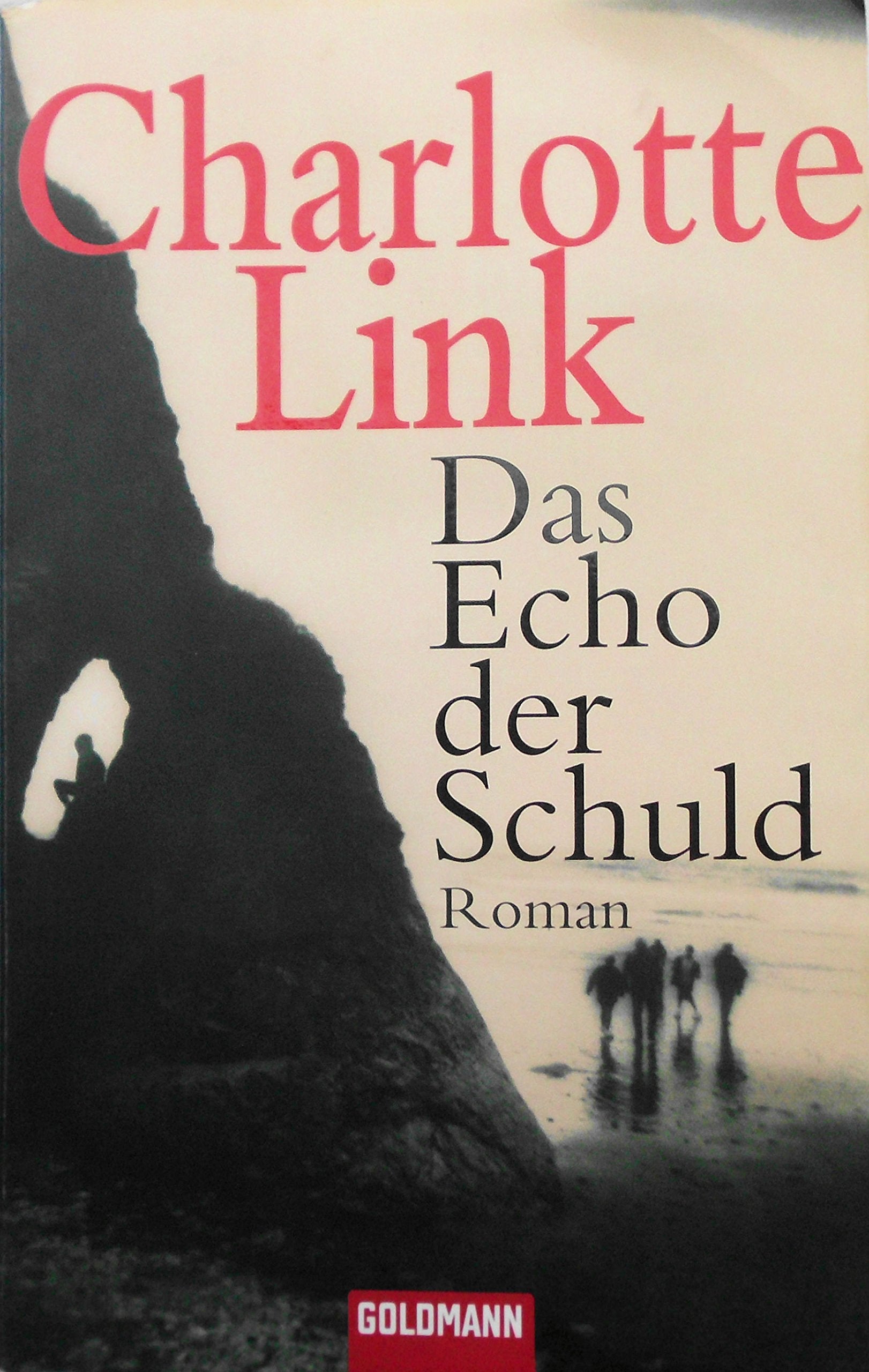 Das Echo der Schuld: Roman Contemporary literature Books