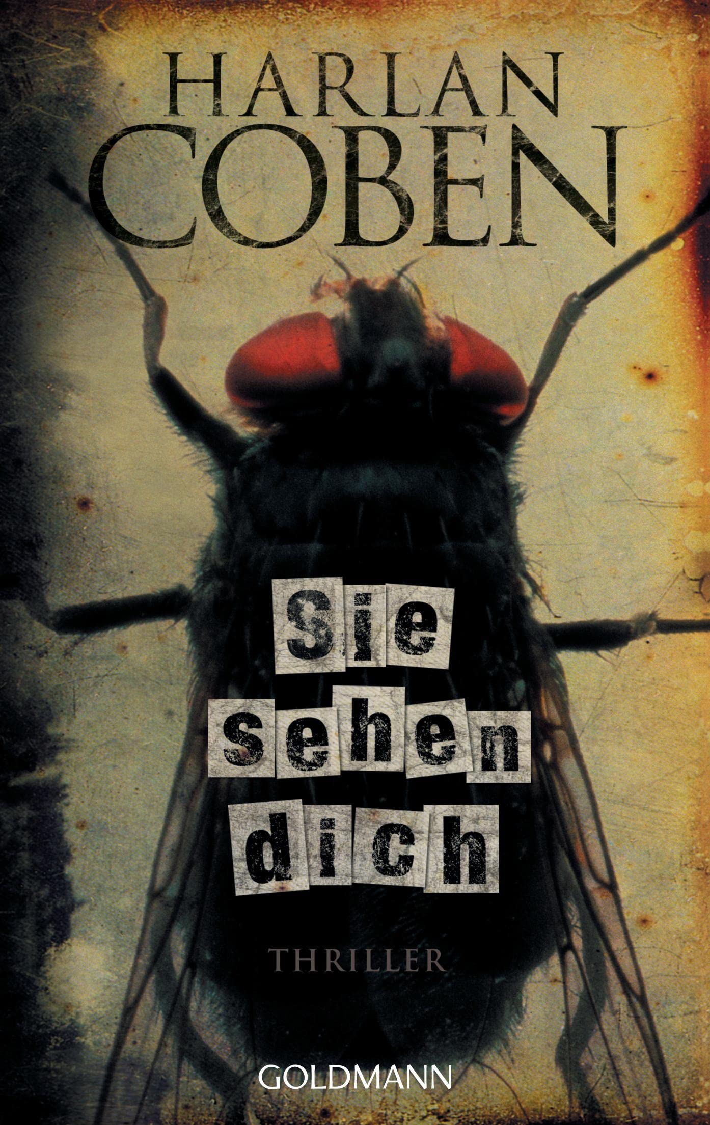 Sie sehen dich Contemporary literature Books