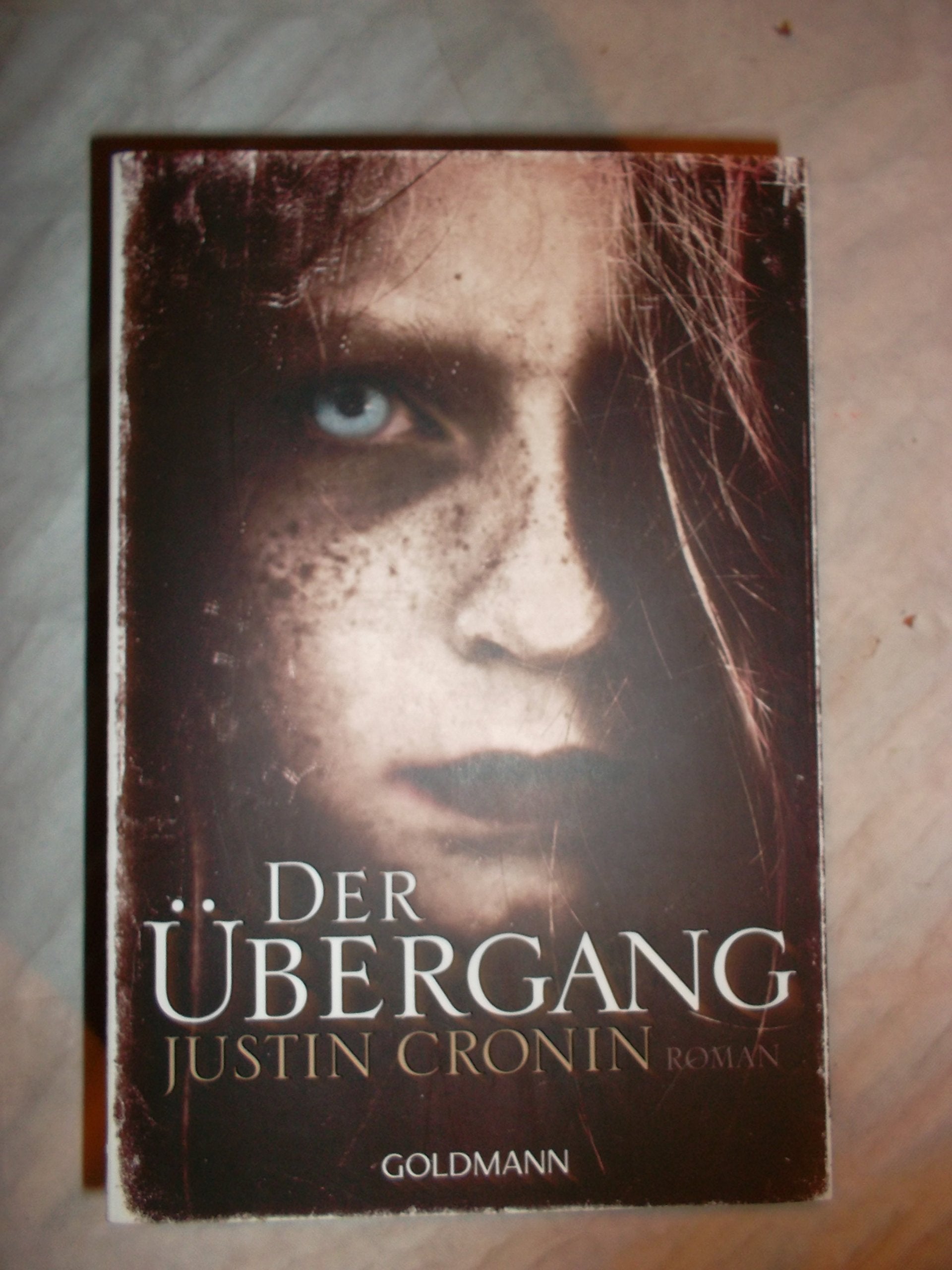 Product Image: Der Übergang