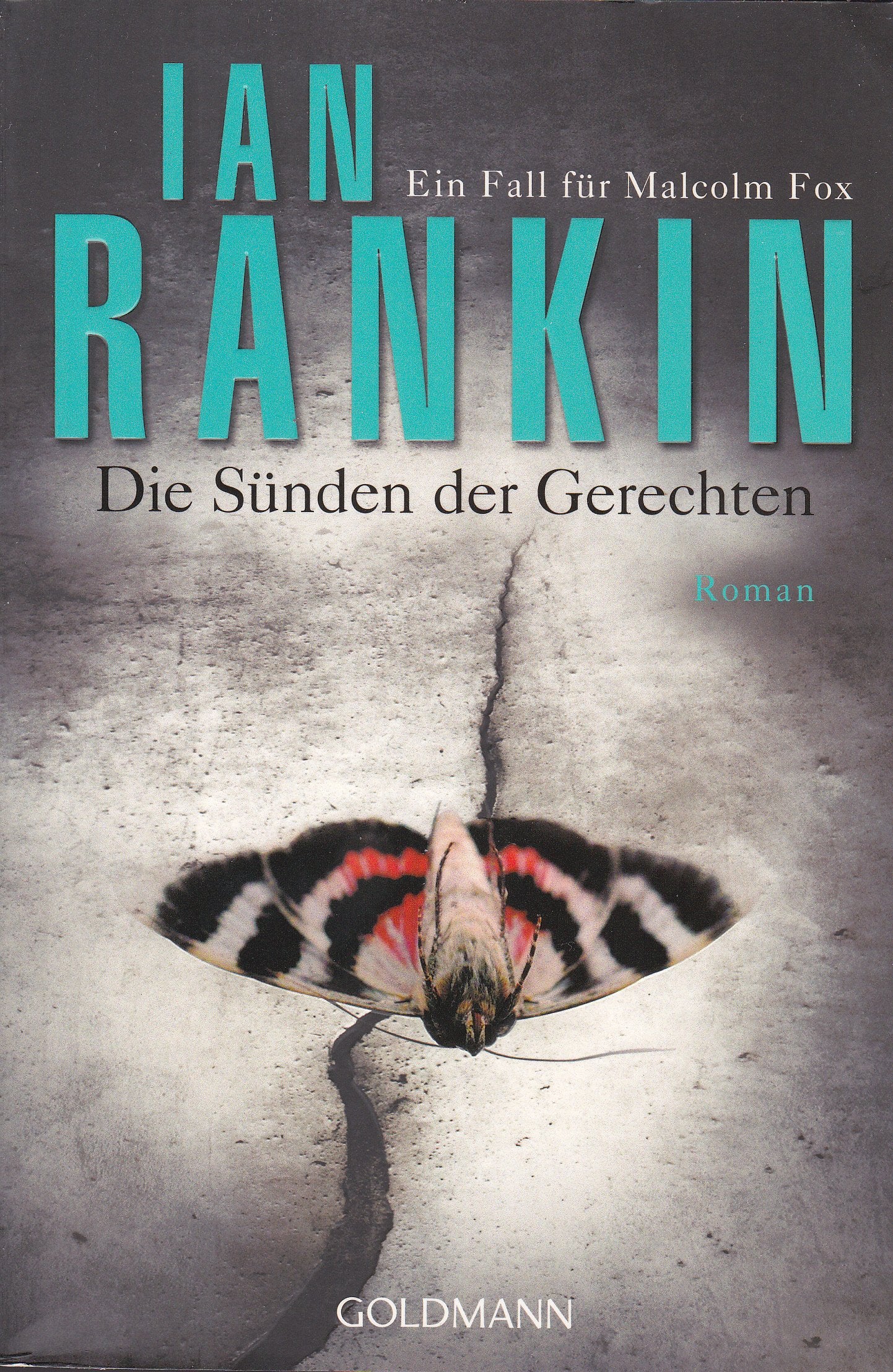 Die Sünden der Gerechten - Malcolm Fox 2 Contemporary literature