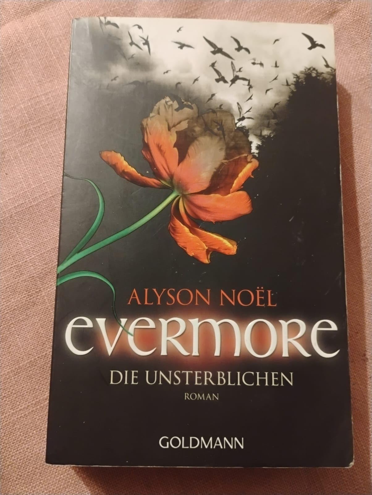 Evermore 01 - Die Unsterblichen Contemporary literature Books