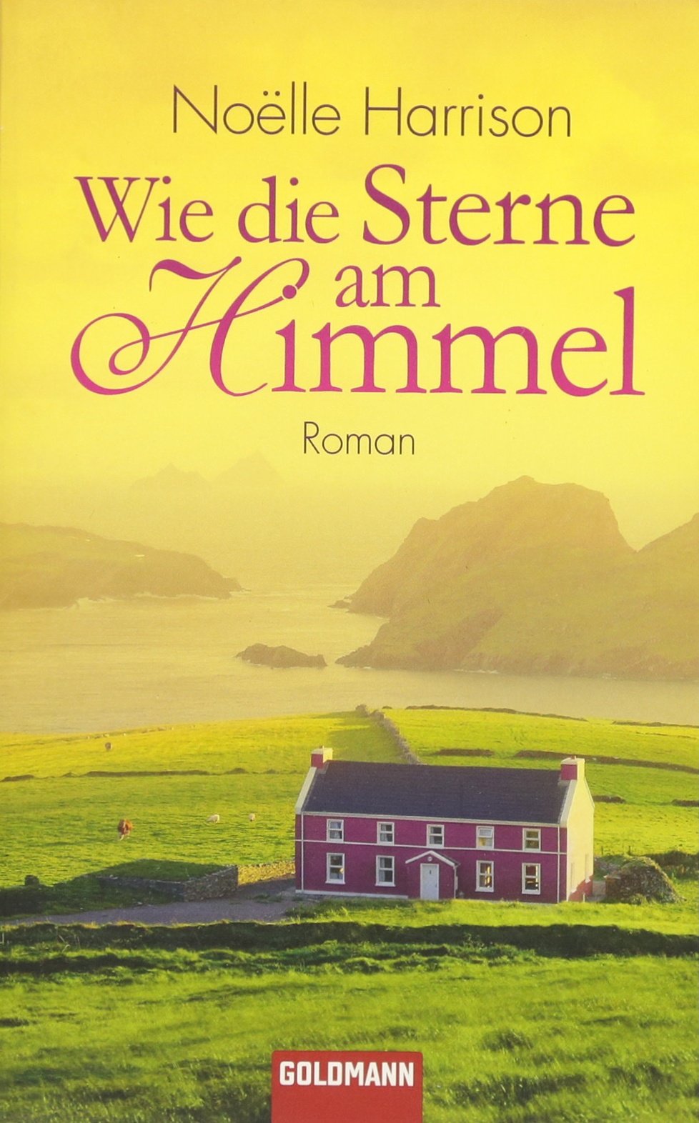 Wie die Sterne am Himmel: Roman Contemporary literature