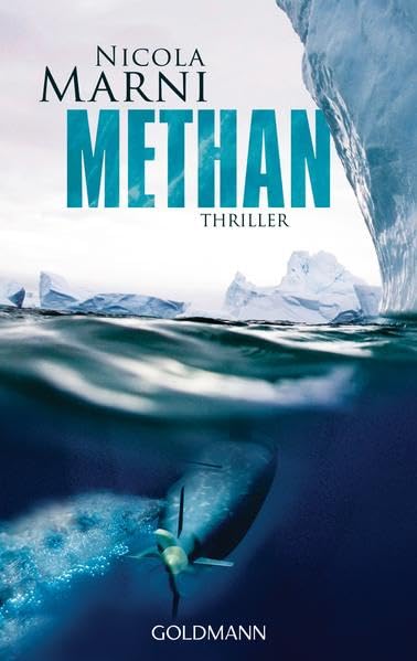 Methan: Thriller Contemporary literature Books