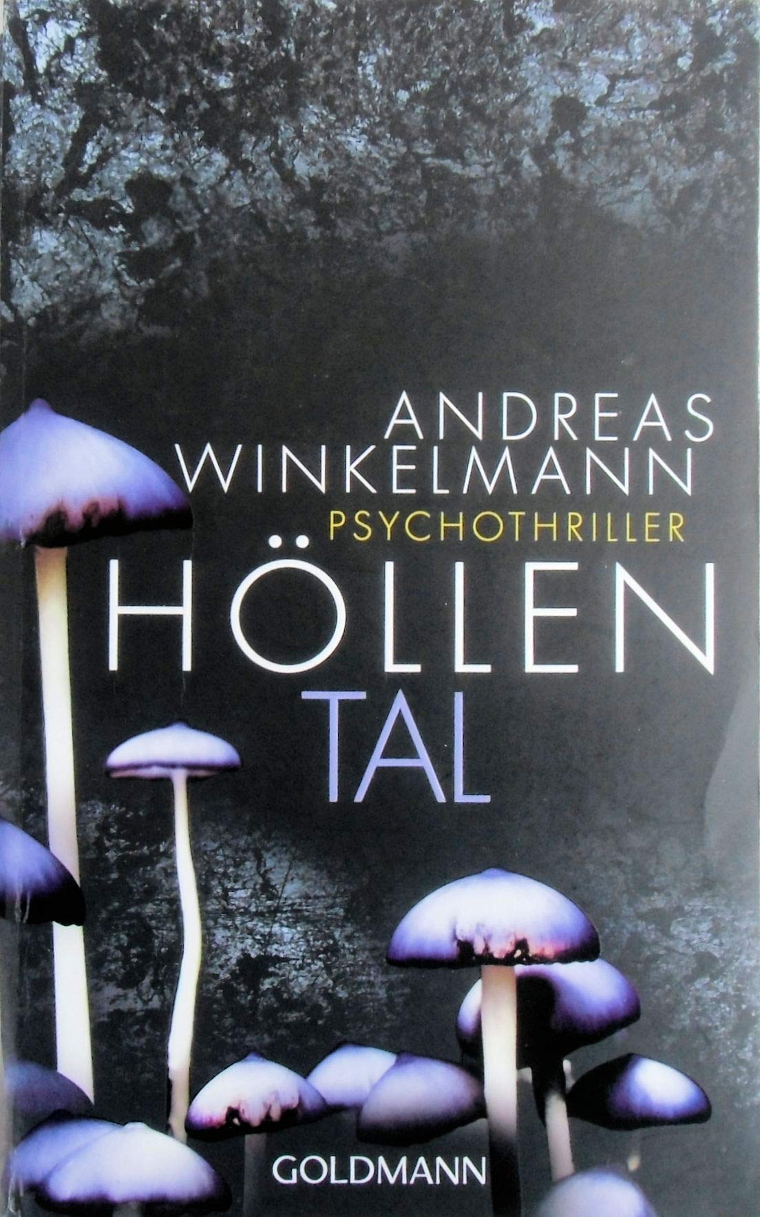 Höllental: Psychothriller: Psychothriller. Originalausgabe Contemporary literature