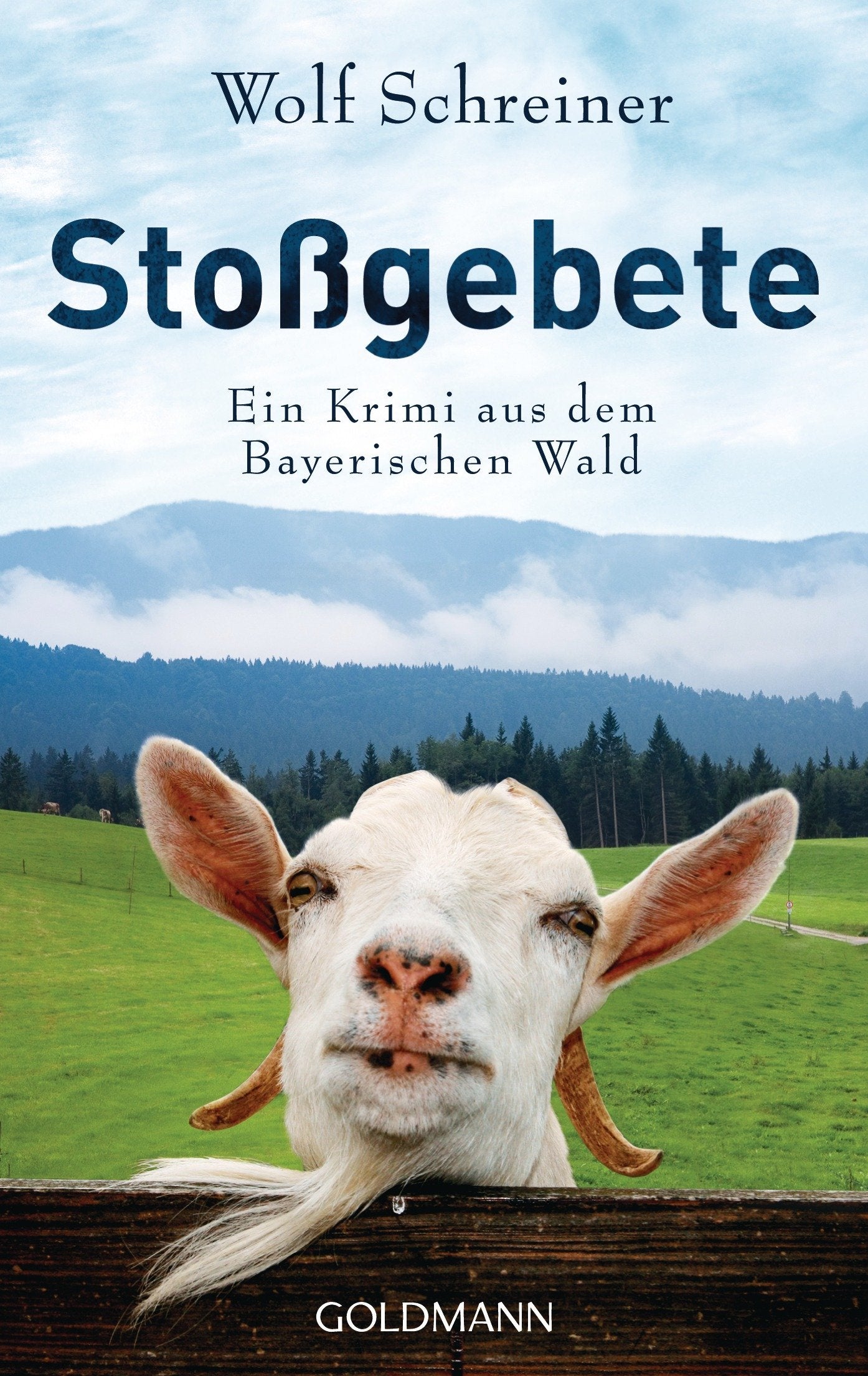 Stoßgebete Contemporary literature Books