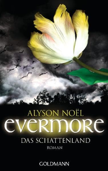 Product Image: Evermore 03 - Das Schattenland