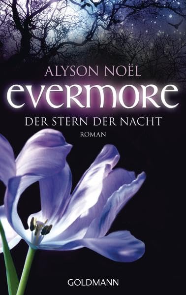 Product Image: Evermore 05 - Der Stern der Nacht