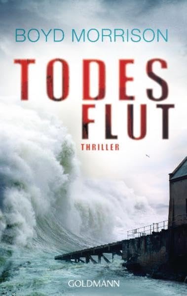 Todesflut: Thriller Contemporary literature Books