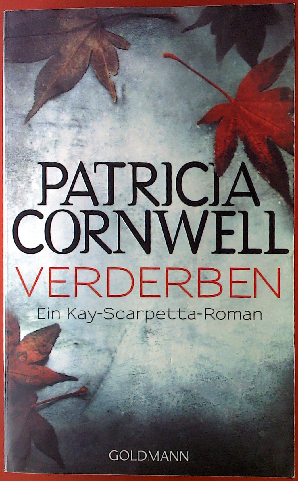 Verderben Contemporary literature Books