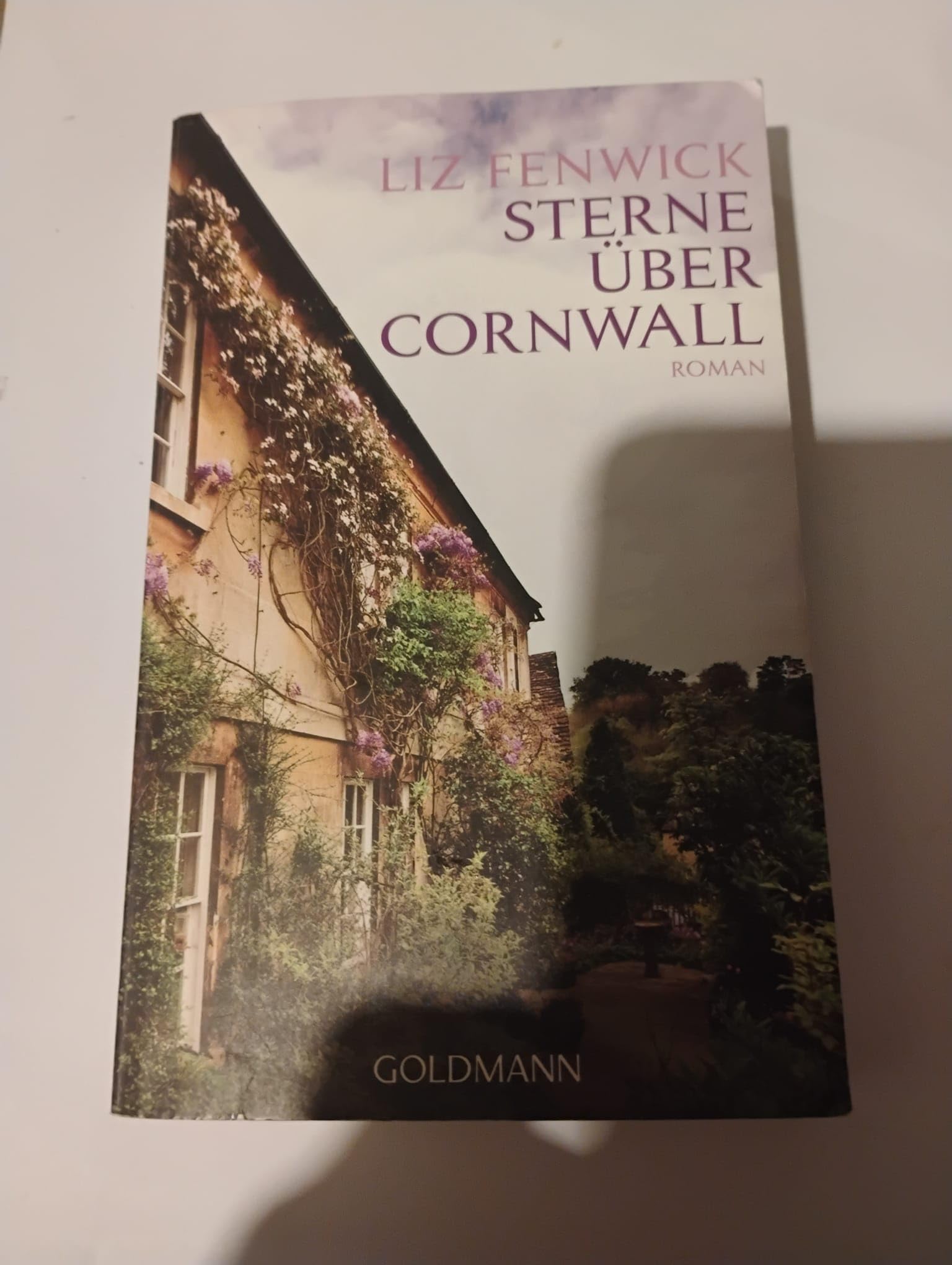 Sterne über Cornwall Contemporary literature Books