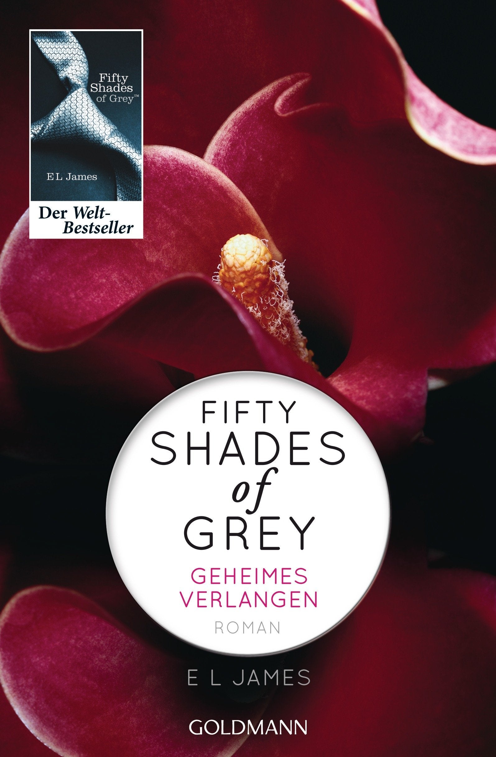 Fifty Shades of Grey - Geheimes Verlangen Contemporary literature