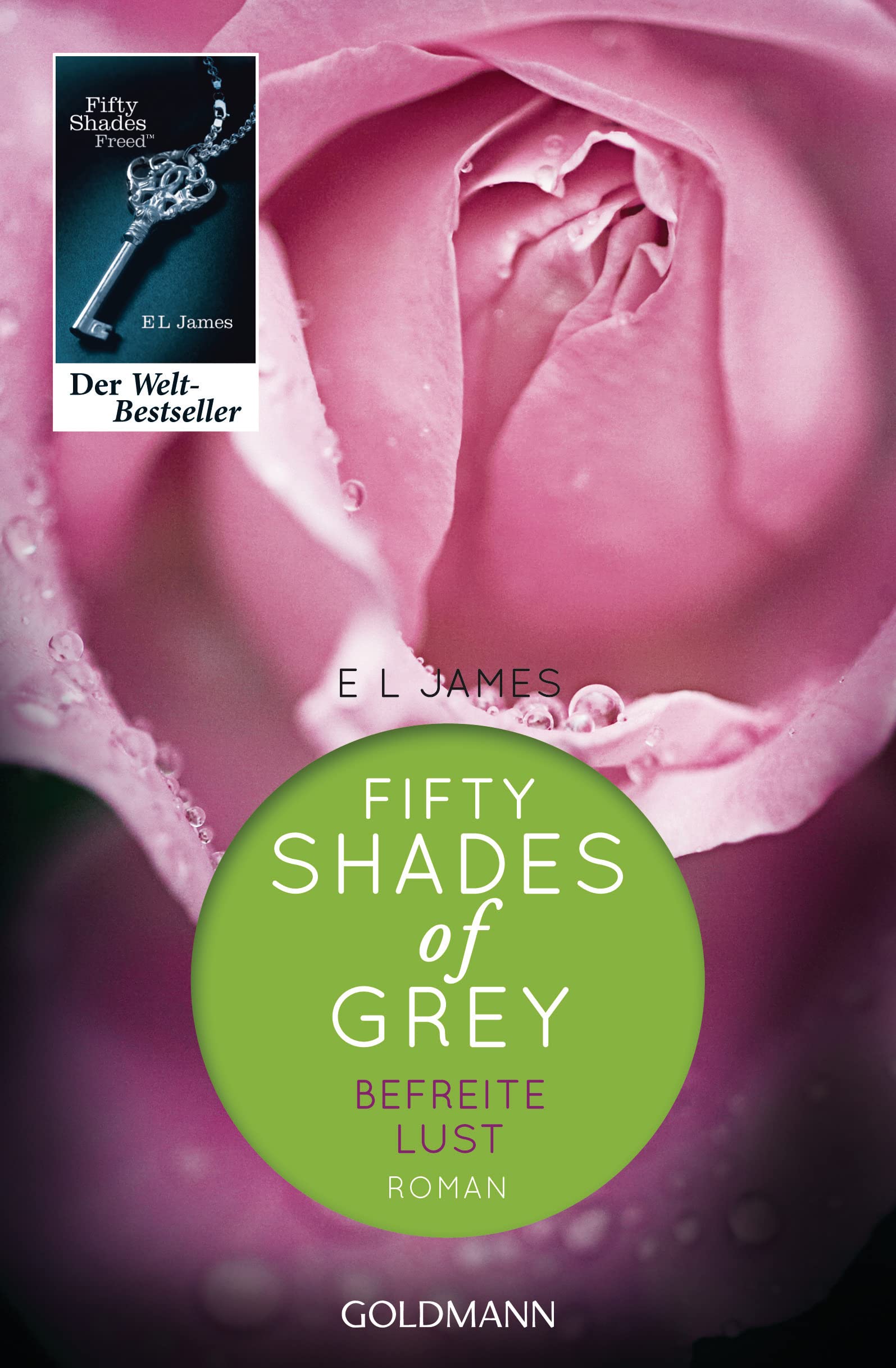 Shades of Grey 03. Befreite Lust Contemporary literature