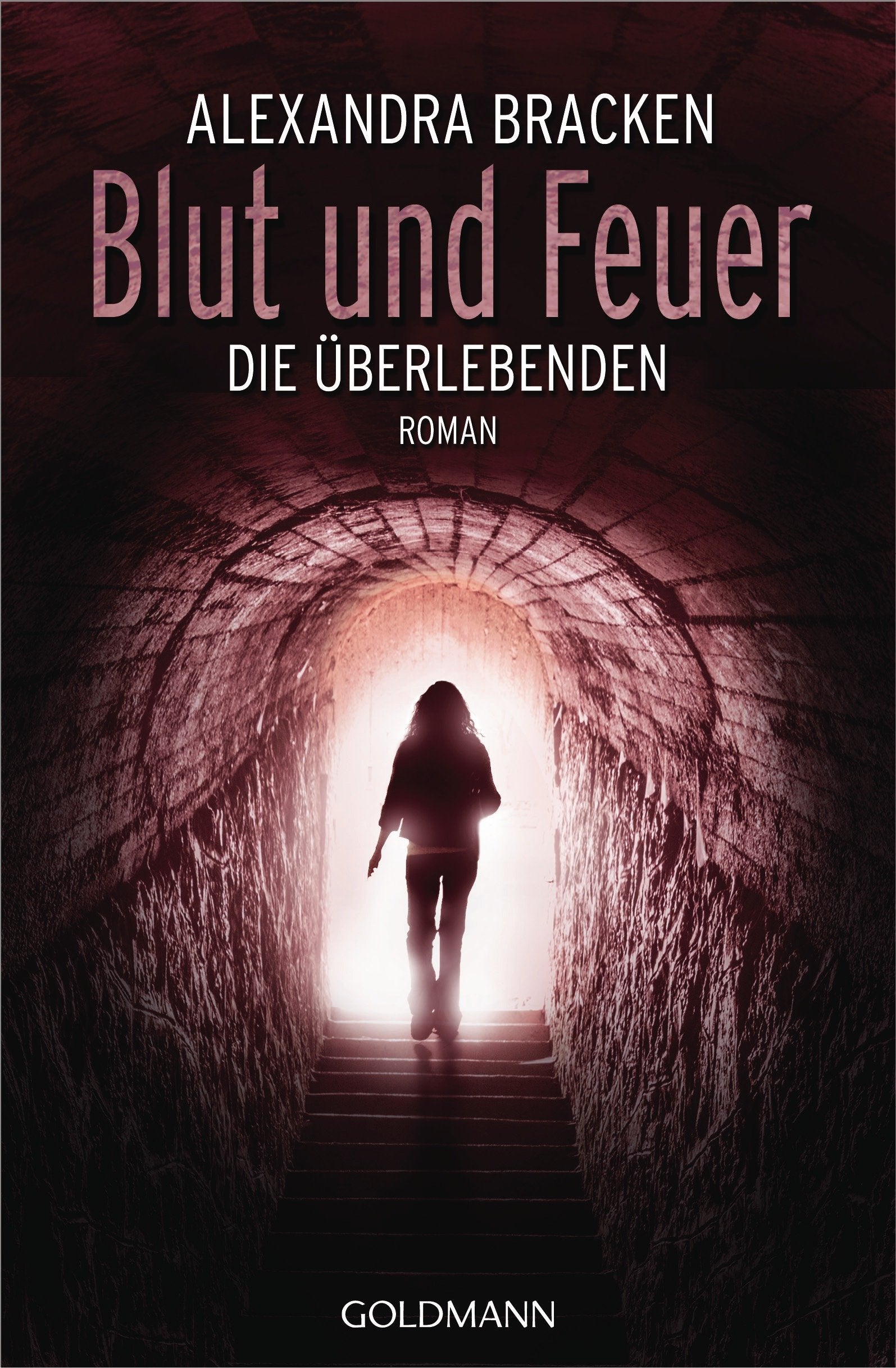 Blut und Feuer Contemporary literature Books