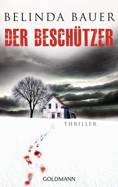 Der Beschützer Contemporary literature Books