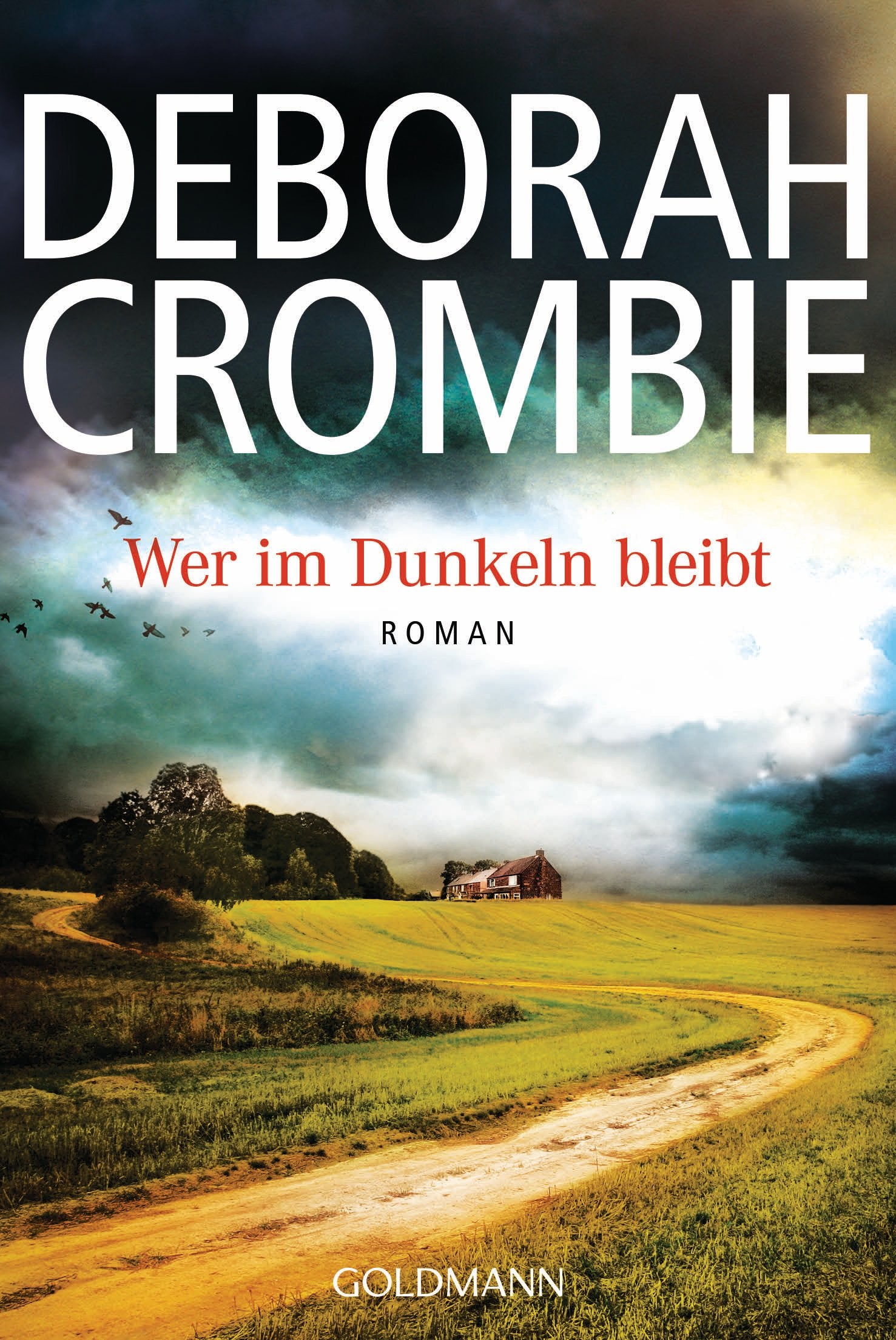 Product Image: Wer im Dunkeln bleibt