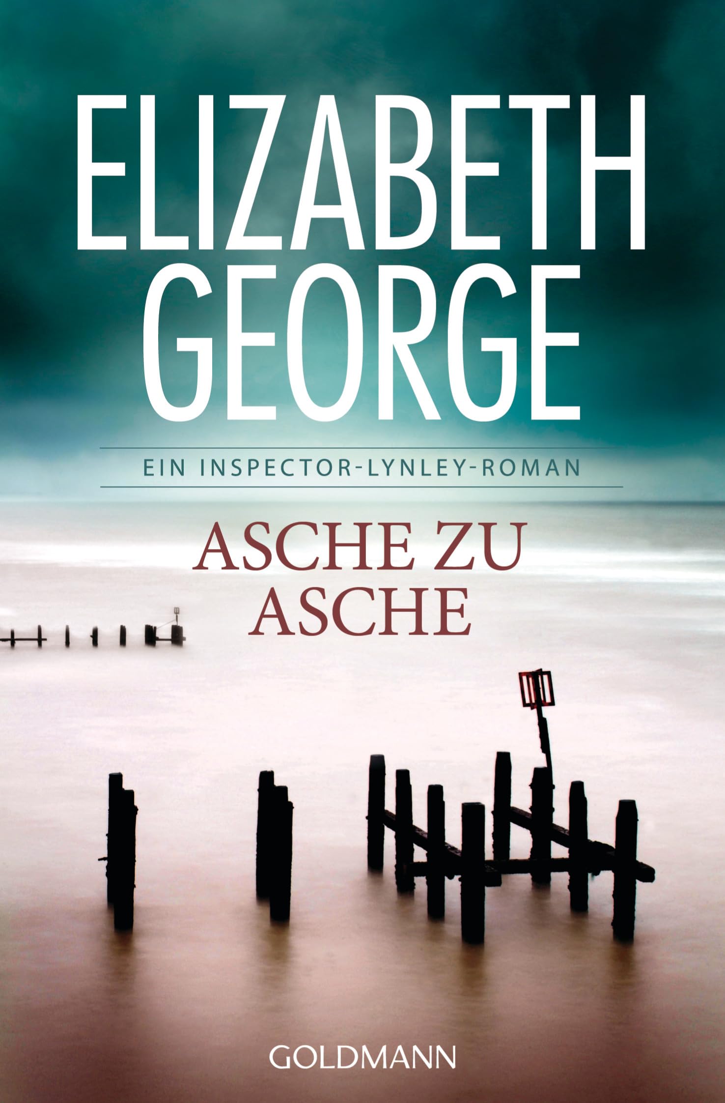 Asche zu Asche Contemporary literature Books