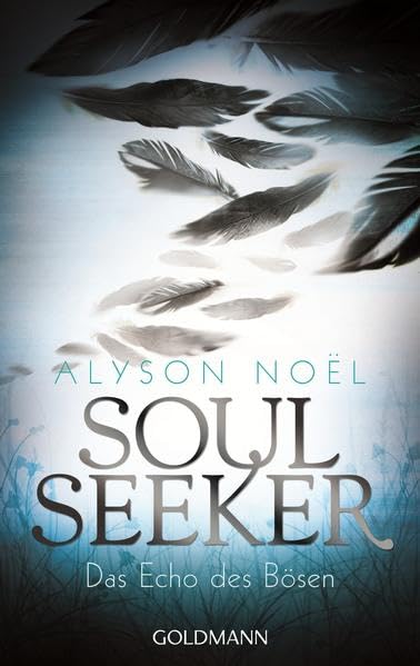 Soul Seeker 02. Das Echo des Bösen Contemporary literature