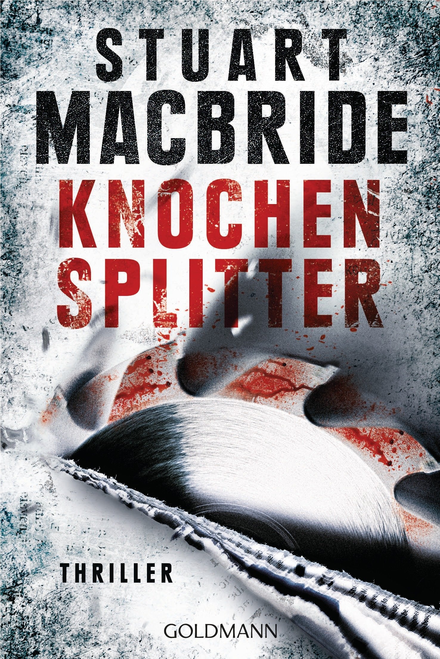 Knochensplitter Contemporary literature Books