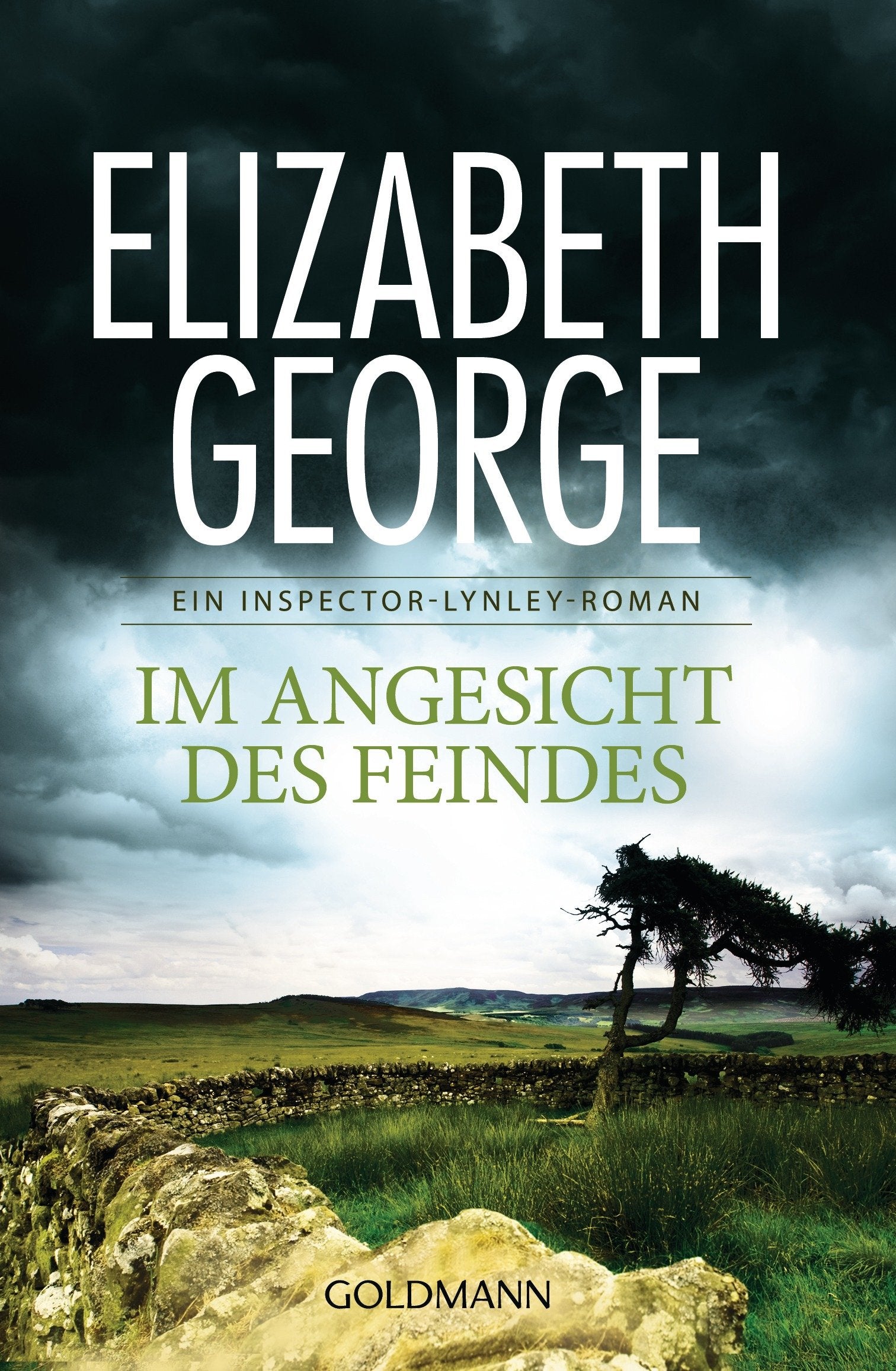 Product Image: Im Angesicht des Feindes
