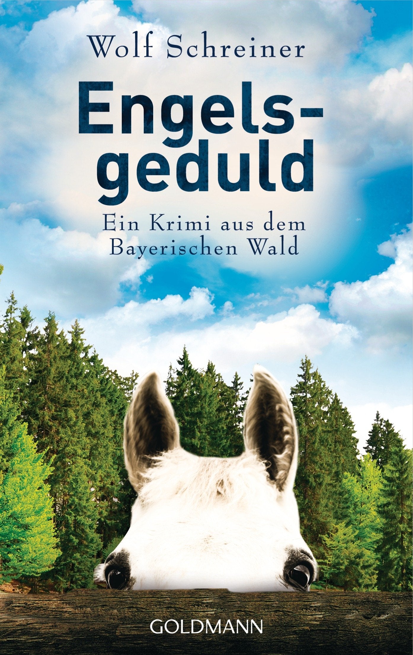 Engelsgeduld Contemporary literature